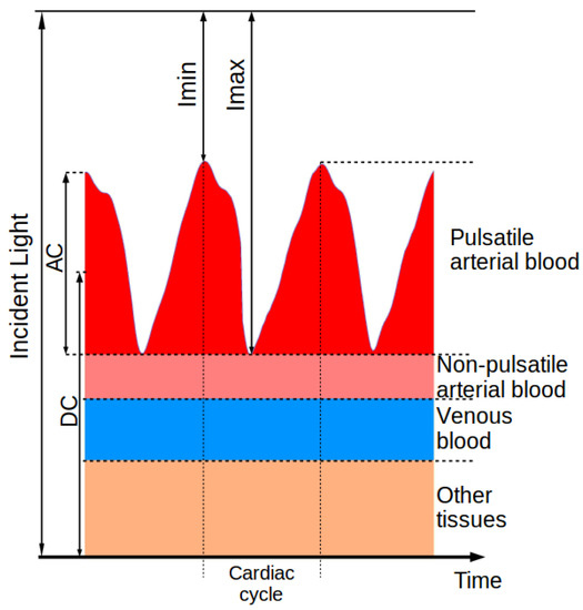 Sensors Free FullText SourceDetector Spectral Sensors Free FullText SourceDetector Spectral