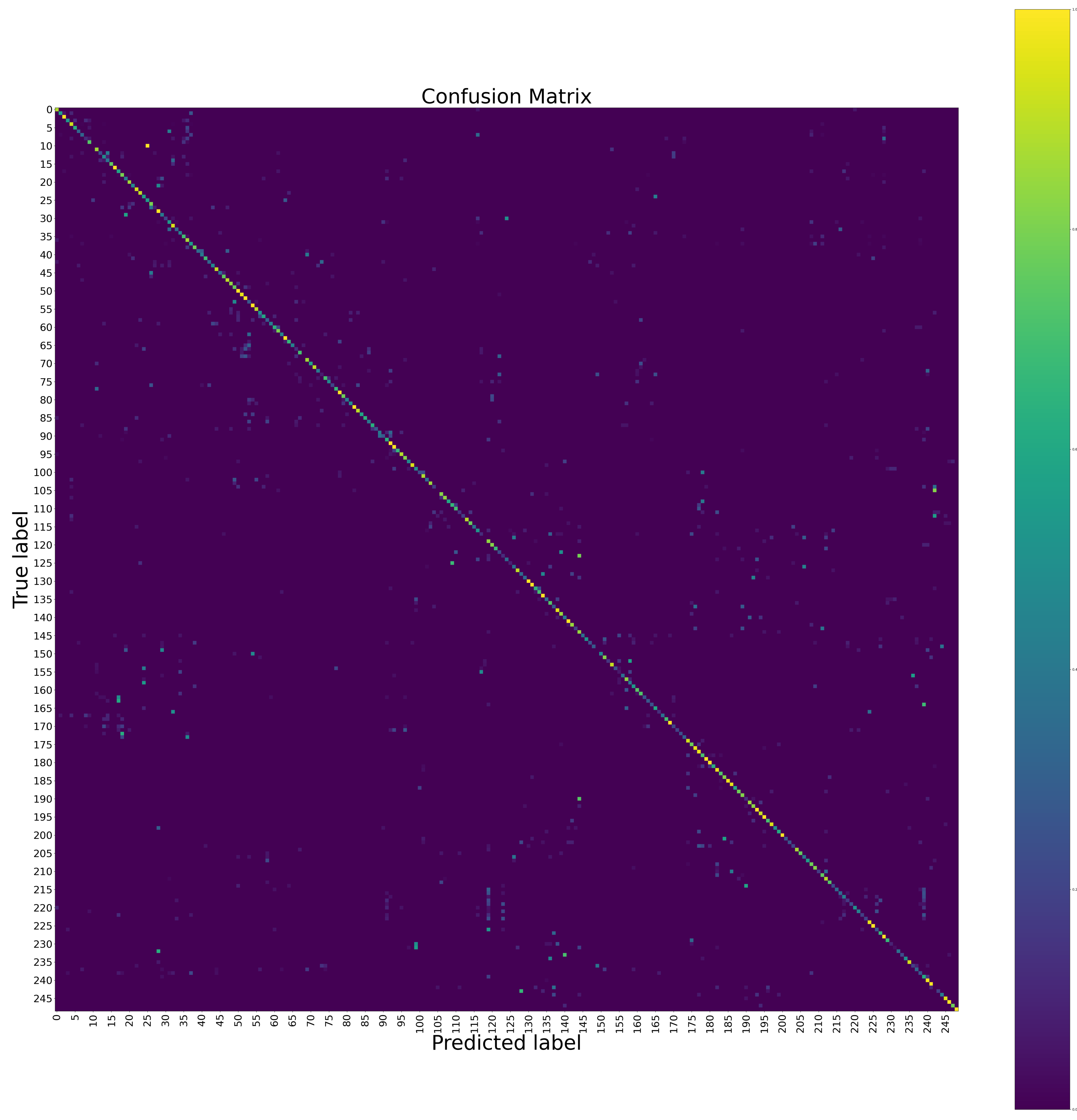 Sensors 20 03305 g005