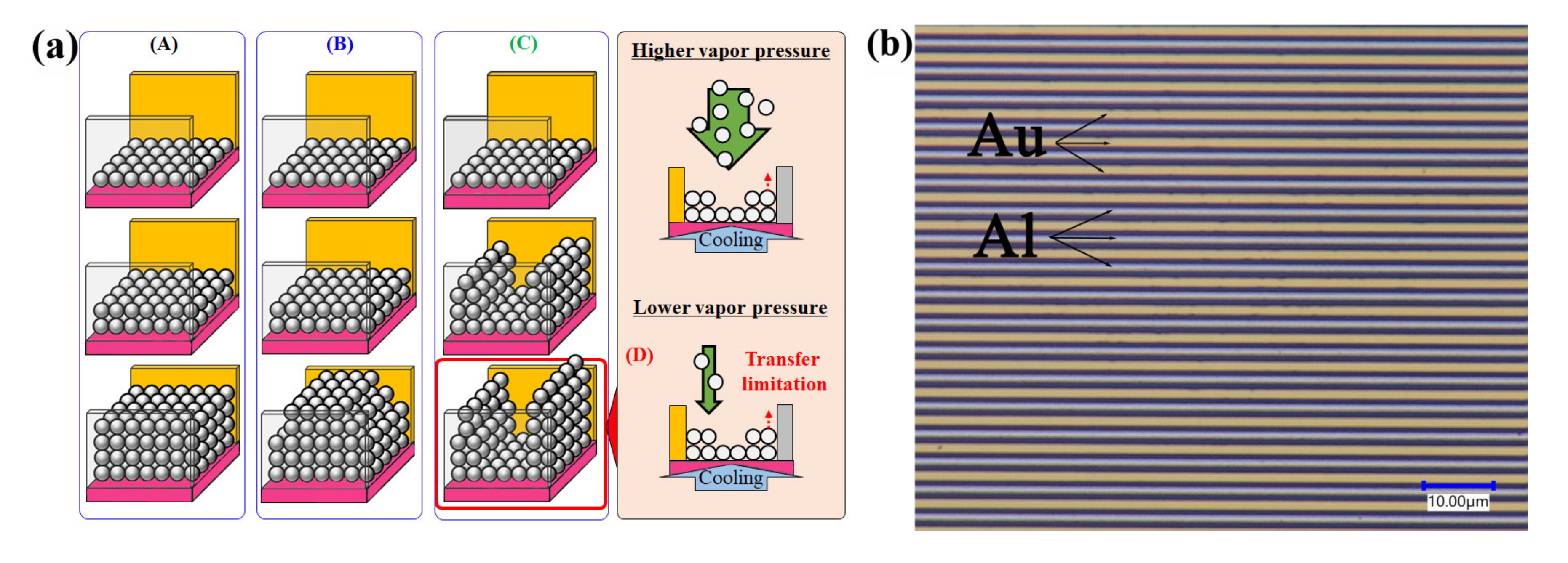 Sensors 20 03314 g007