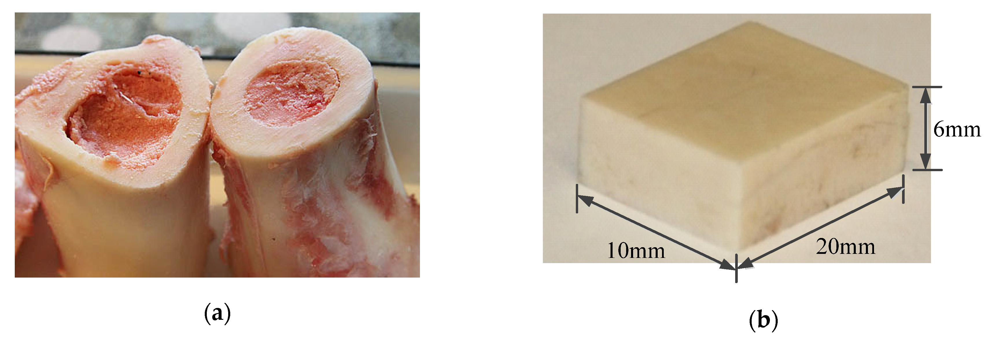 Sensors 20 03325 g005