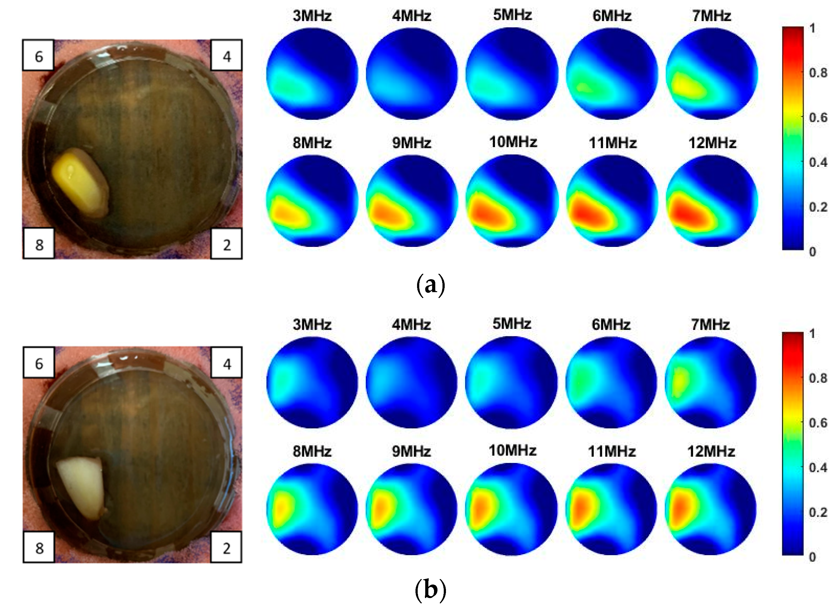 Sensors 20 03327 g008