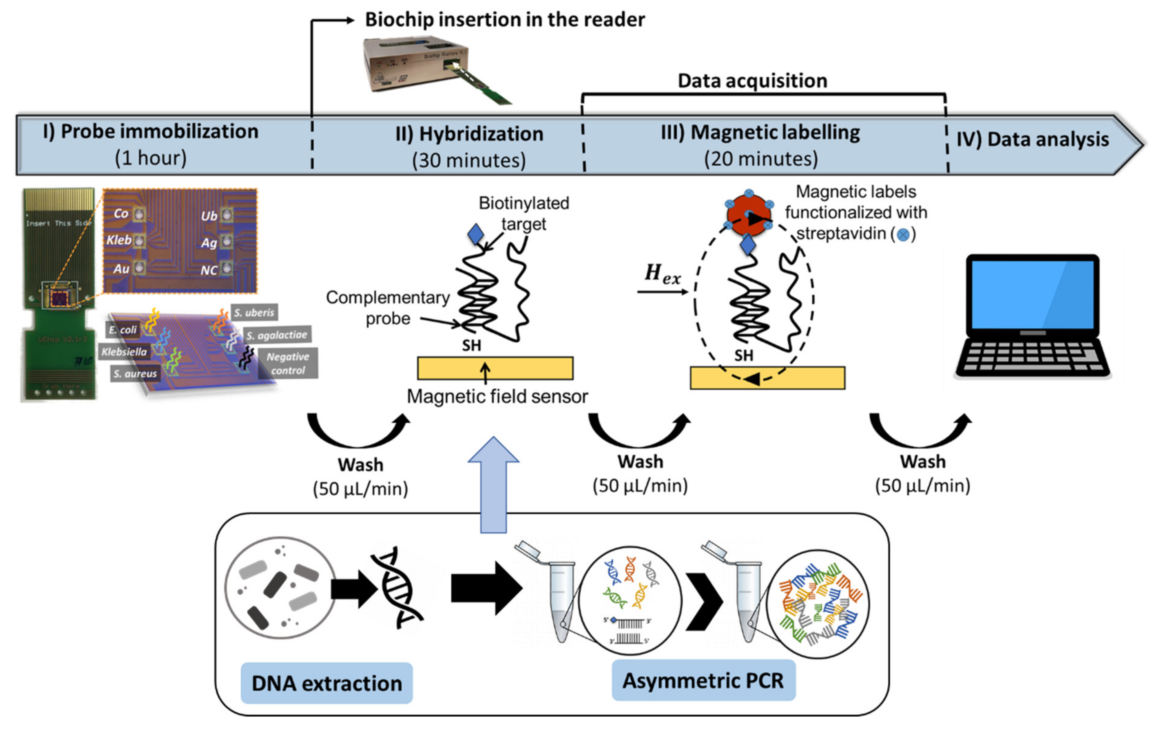 Sensors 20 03351 g002