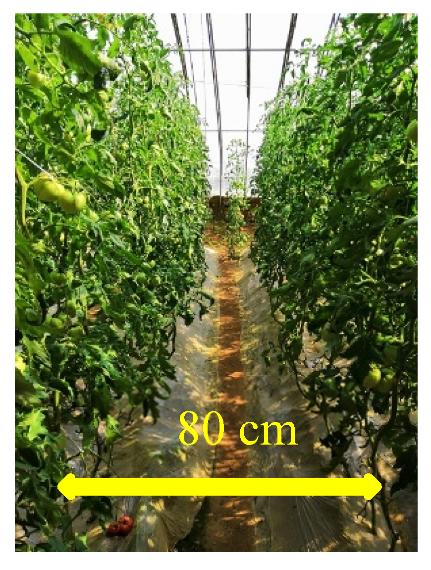 Sensors 20 03366 g005