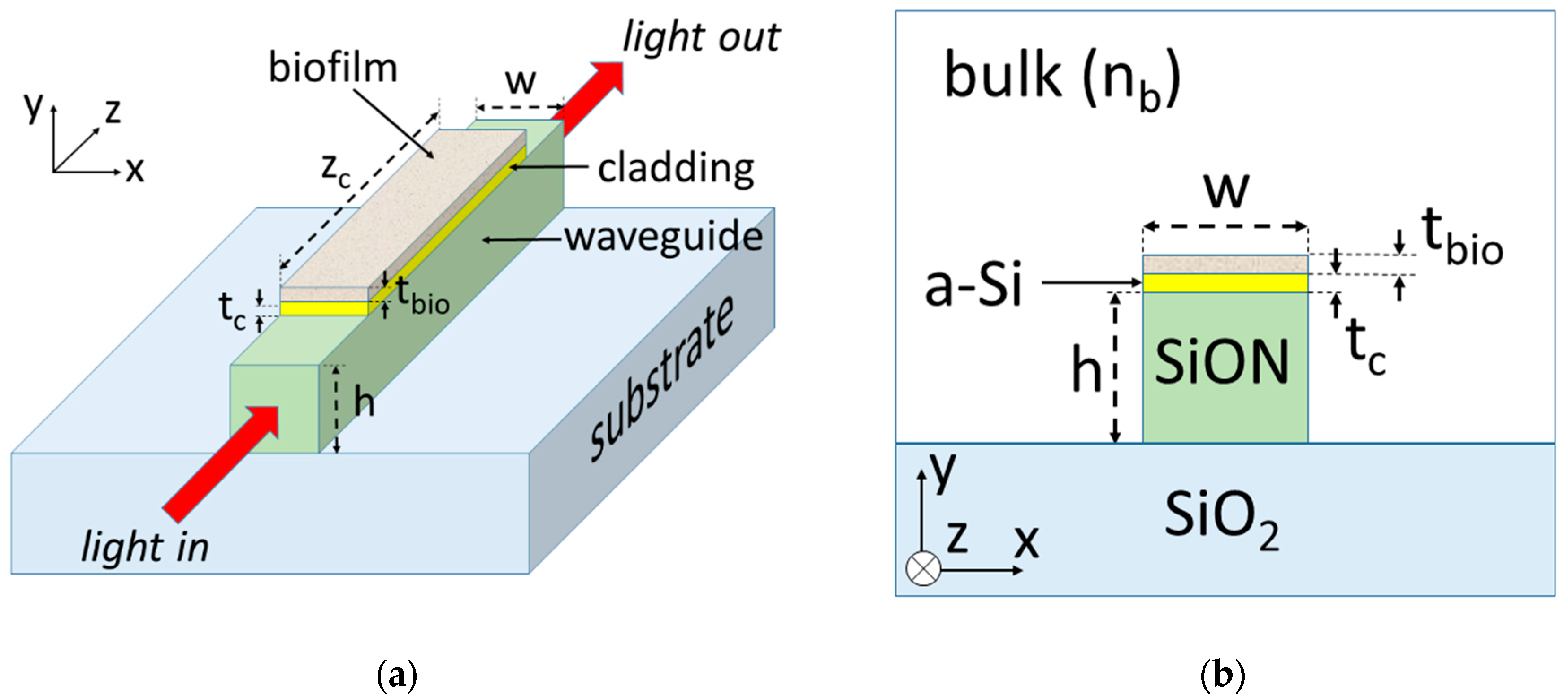 Sensors 20 03368 g001