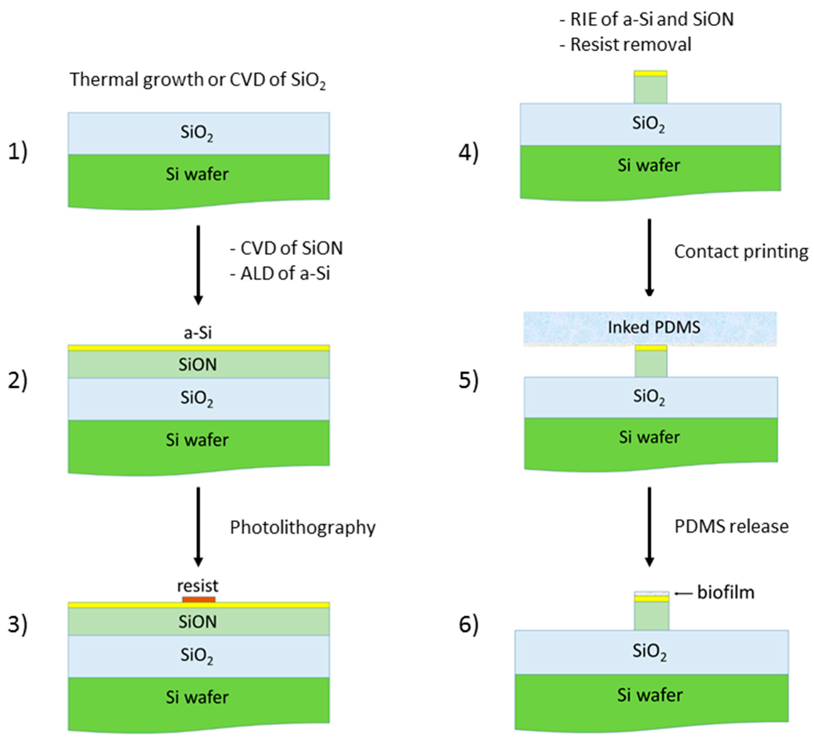 Sensors 20 03368 g009