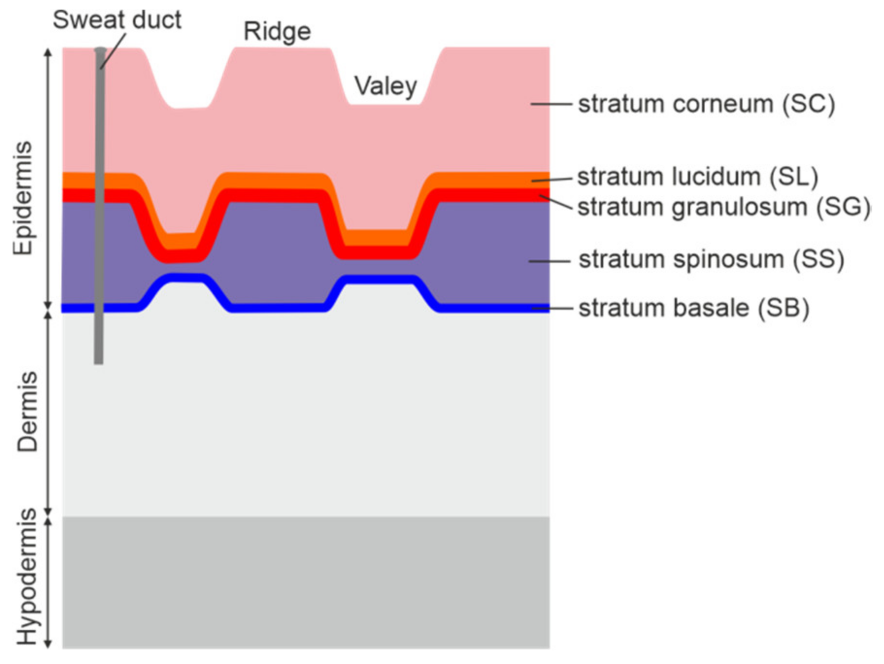 Sensors 20 03379 g001 Sensors 20 03379 g001