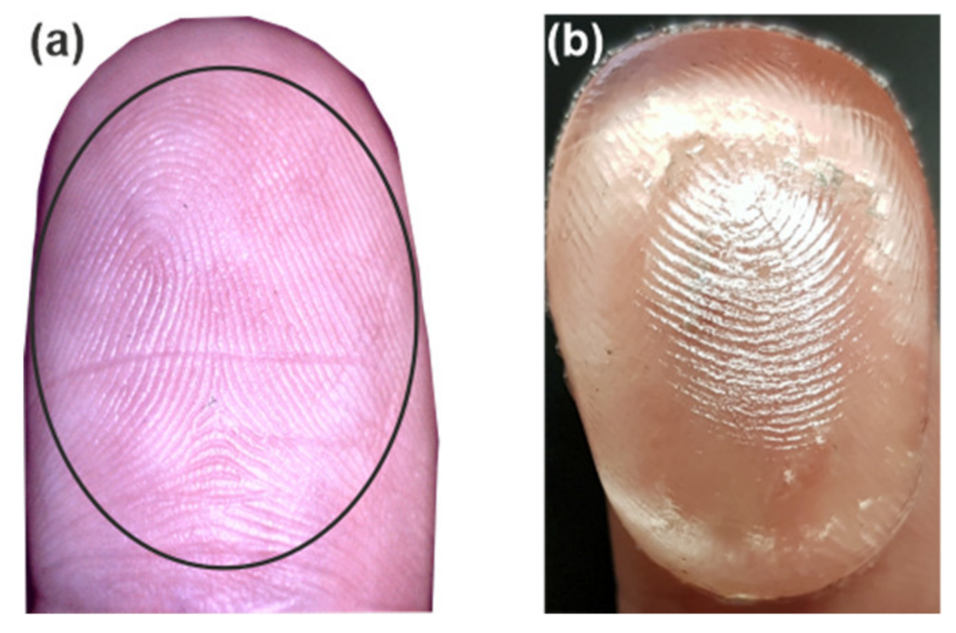 Sensors 20 03379 g002 Sensors 20 03379 g002