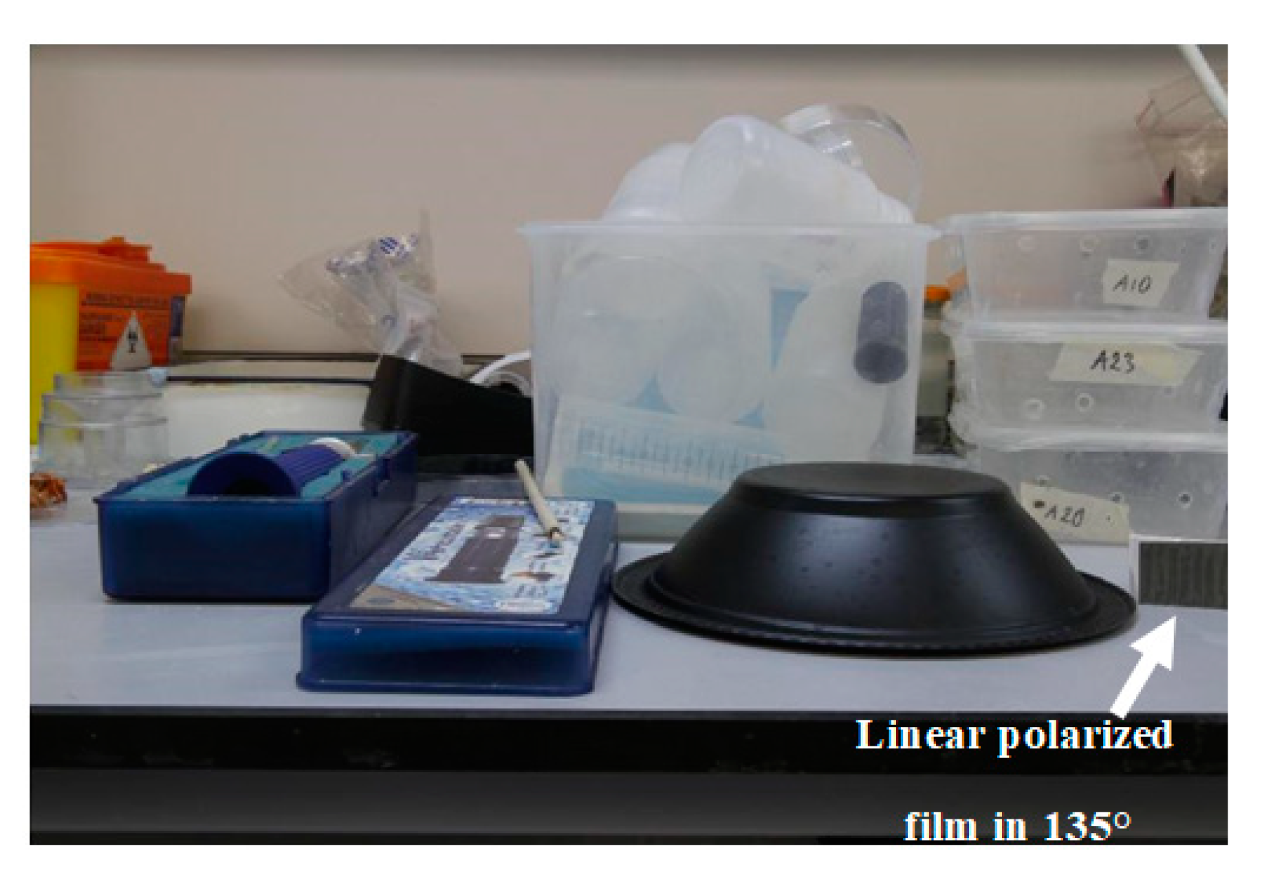 Sensors 20 03391 g010 Sensors 20 03391 g010