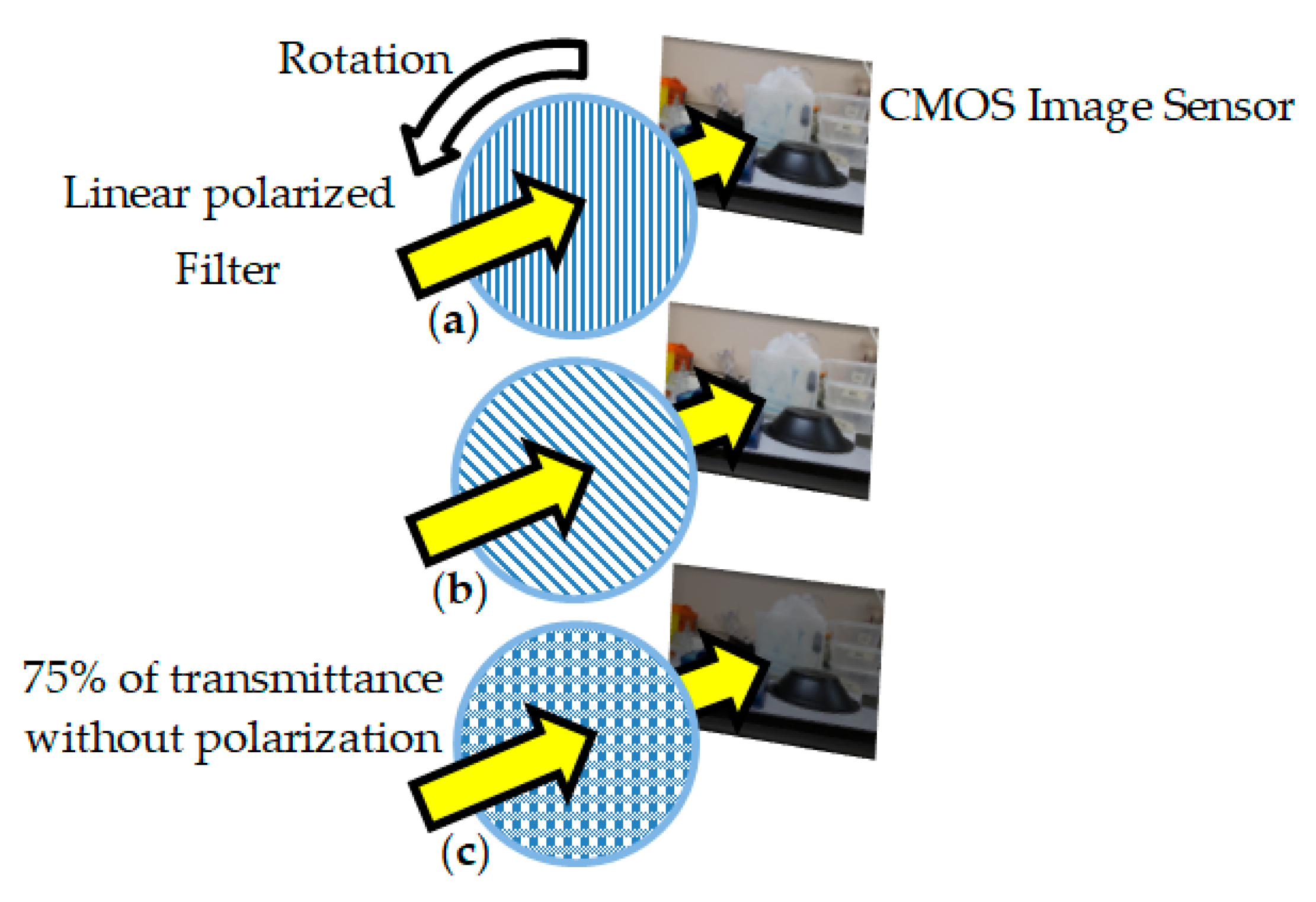 Sensors 20 03391 g011 Sensors 20 03391 g011