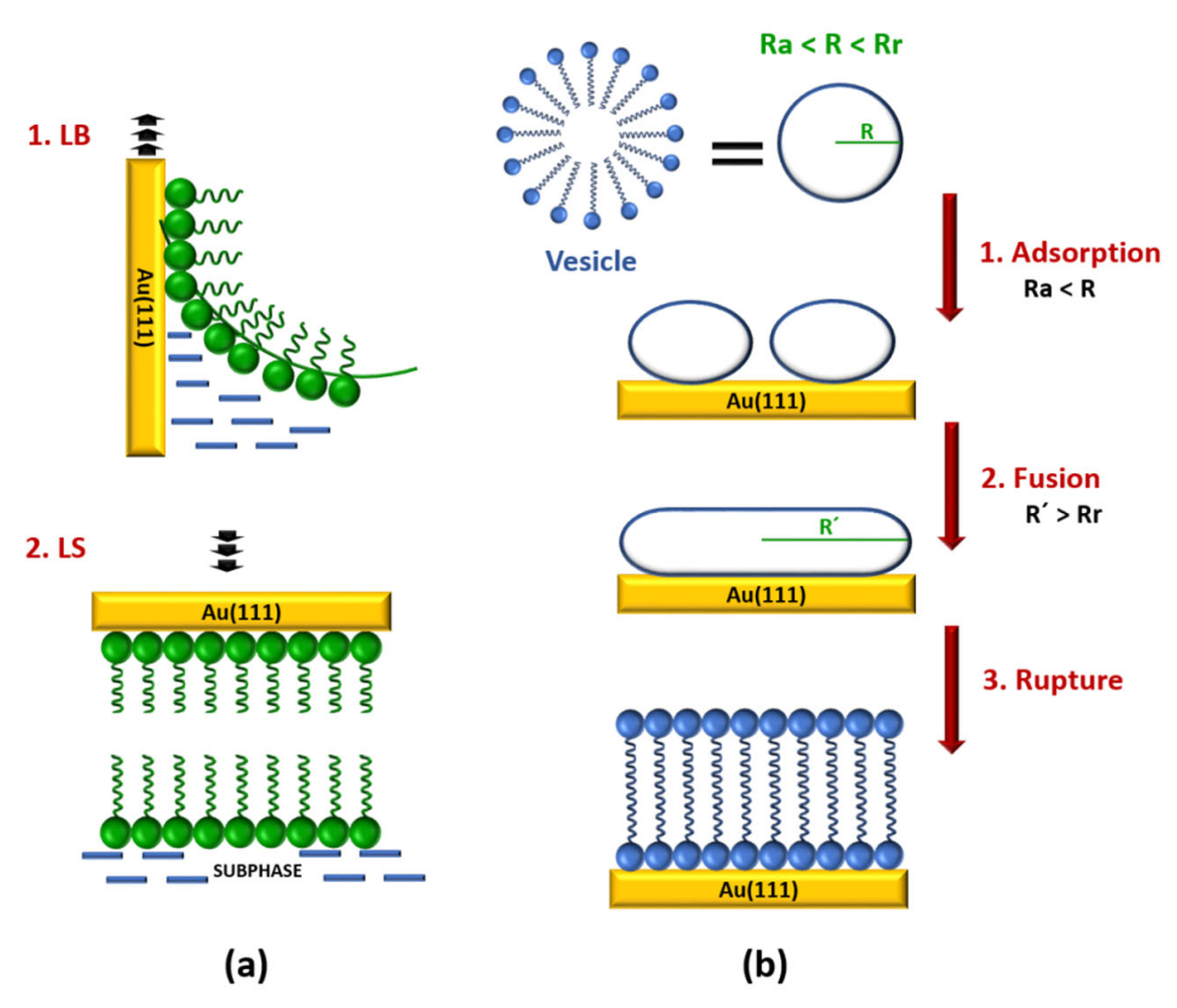 Sensors 20 03393 g001 Sensors 20 03393 g001