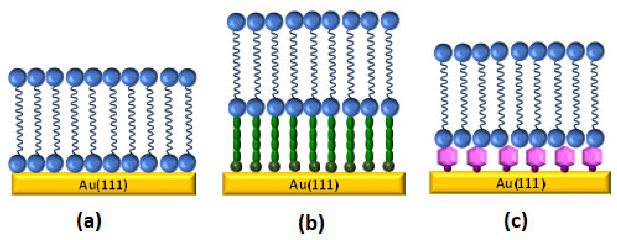 Sensors 20 03393 g002 Sensors 20 03393 g002