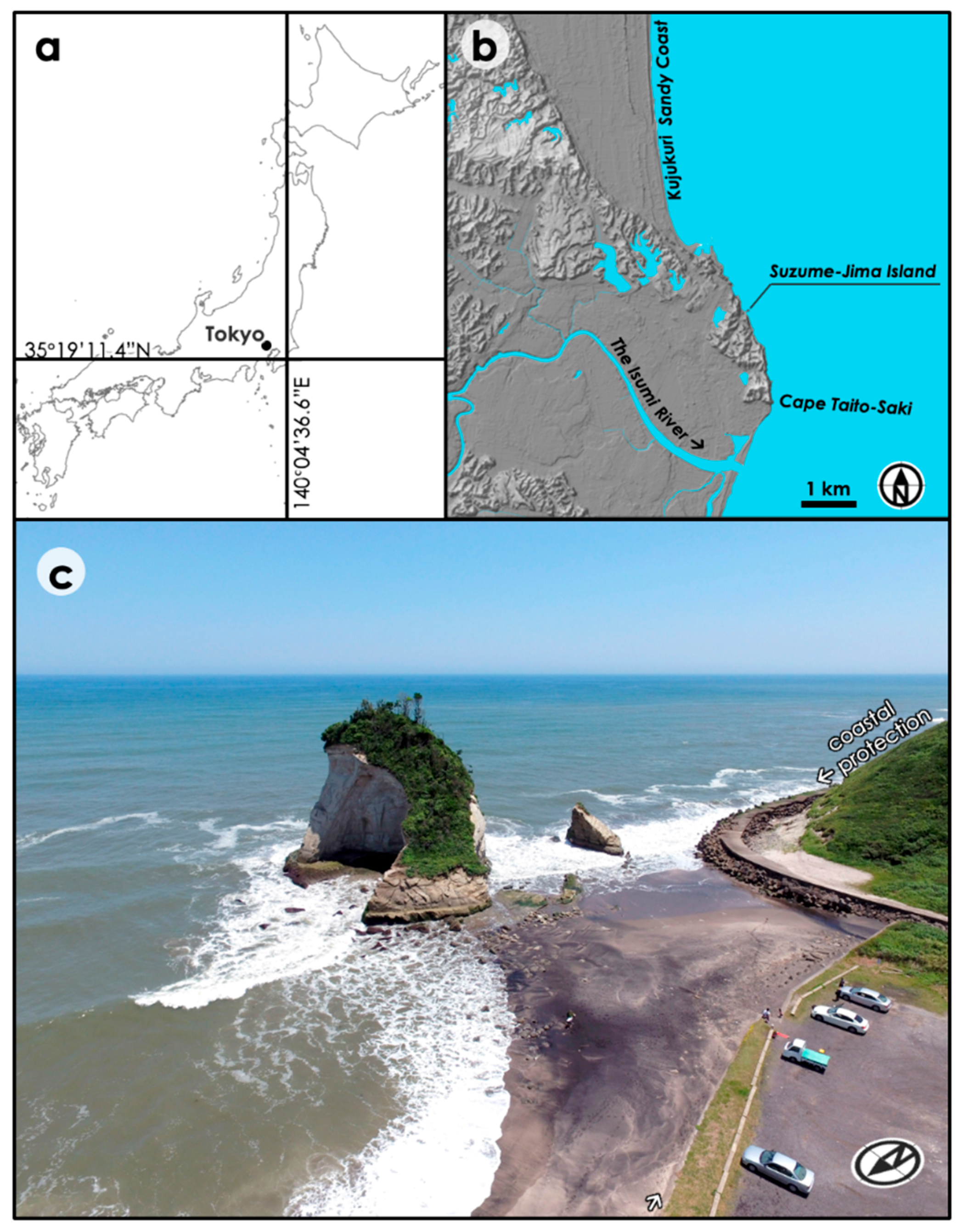 Sensors Free Full Text Volumetric Change Detection In Bedrock Coastal Cliffs Using Terrestrial Laser Scanning And Uas Based Sfm Html