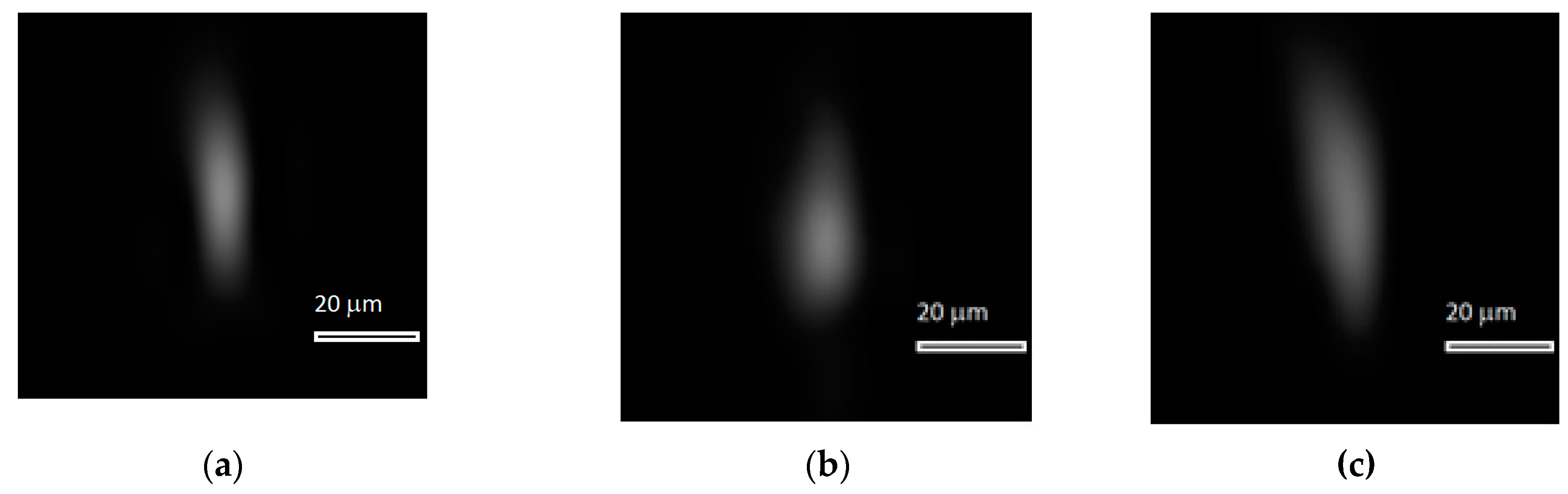 Sensors 20 03411 g008a