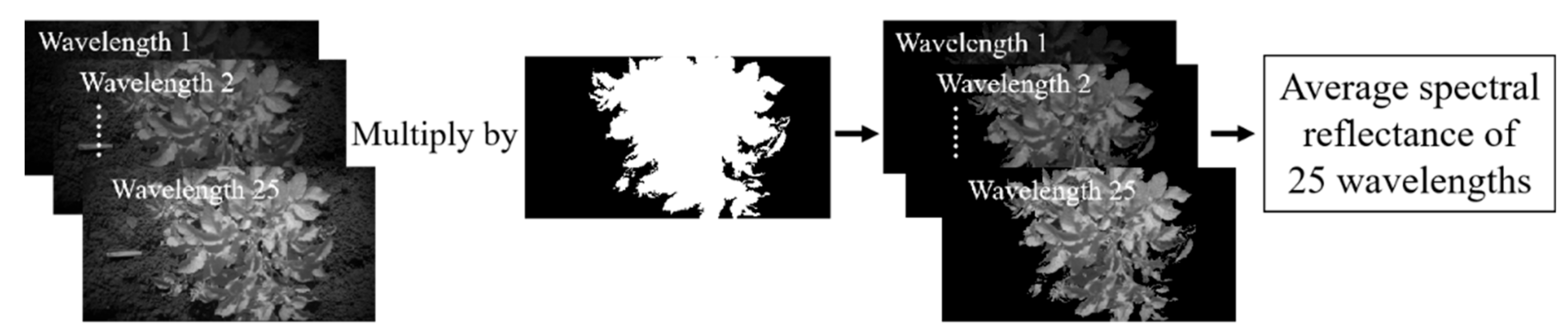 Sensors 20 03430 g005 Sensors 20 03430 g005