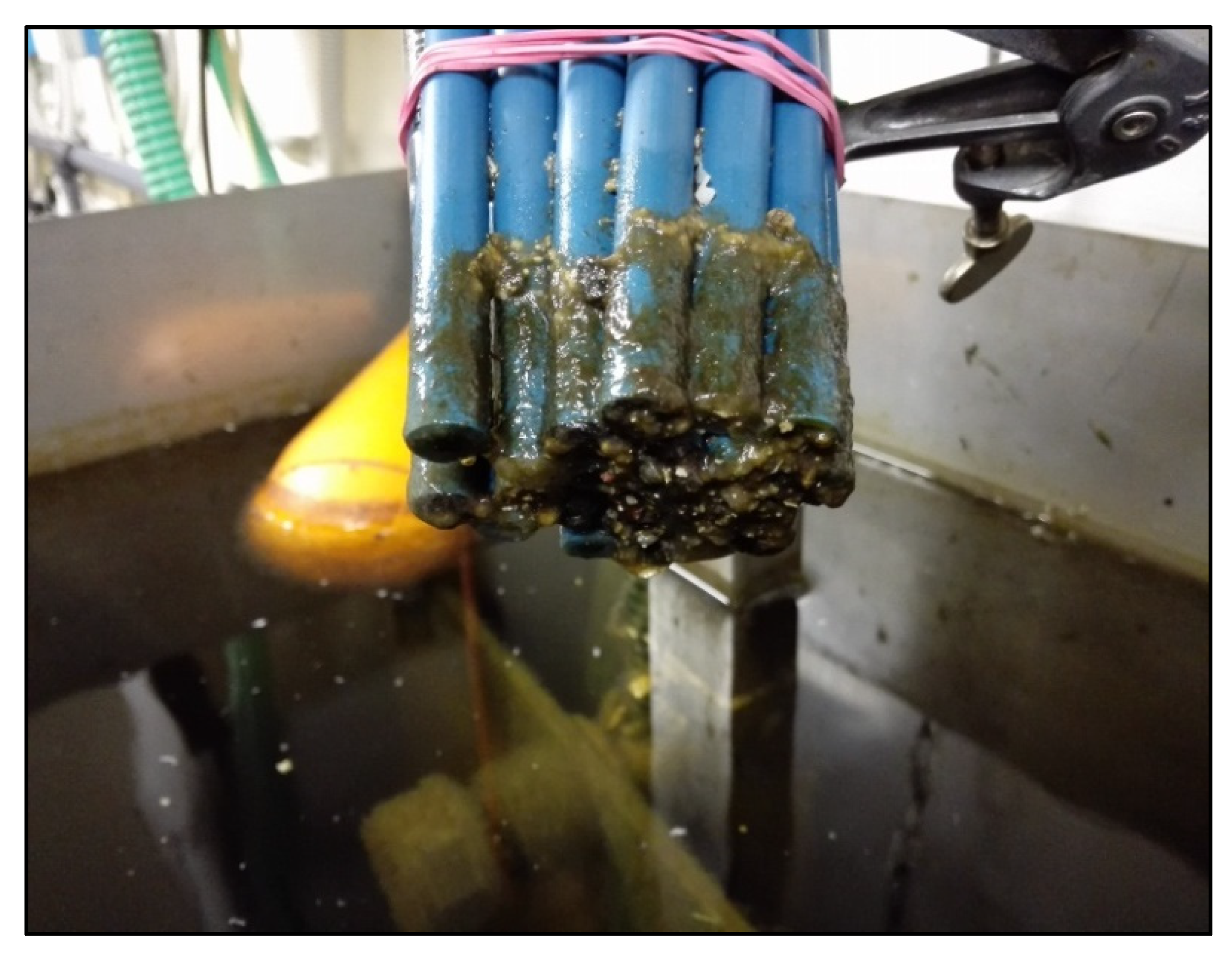 Sensors 20 03432 g016