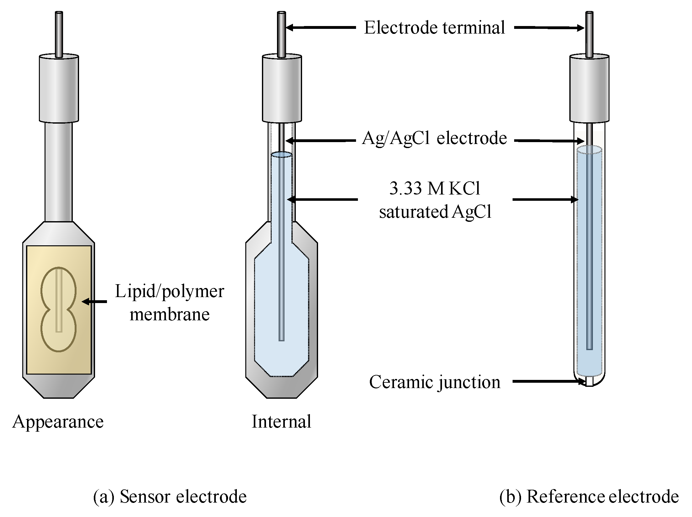 Sensors 20 03455 g001 Sensors 20 03455 g001