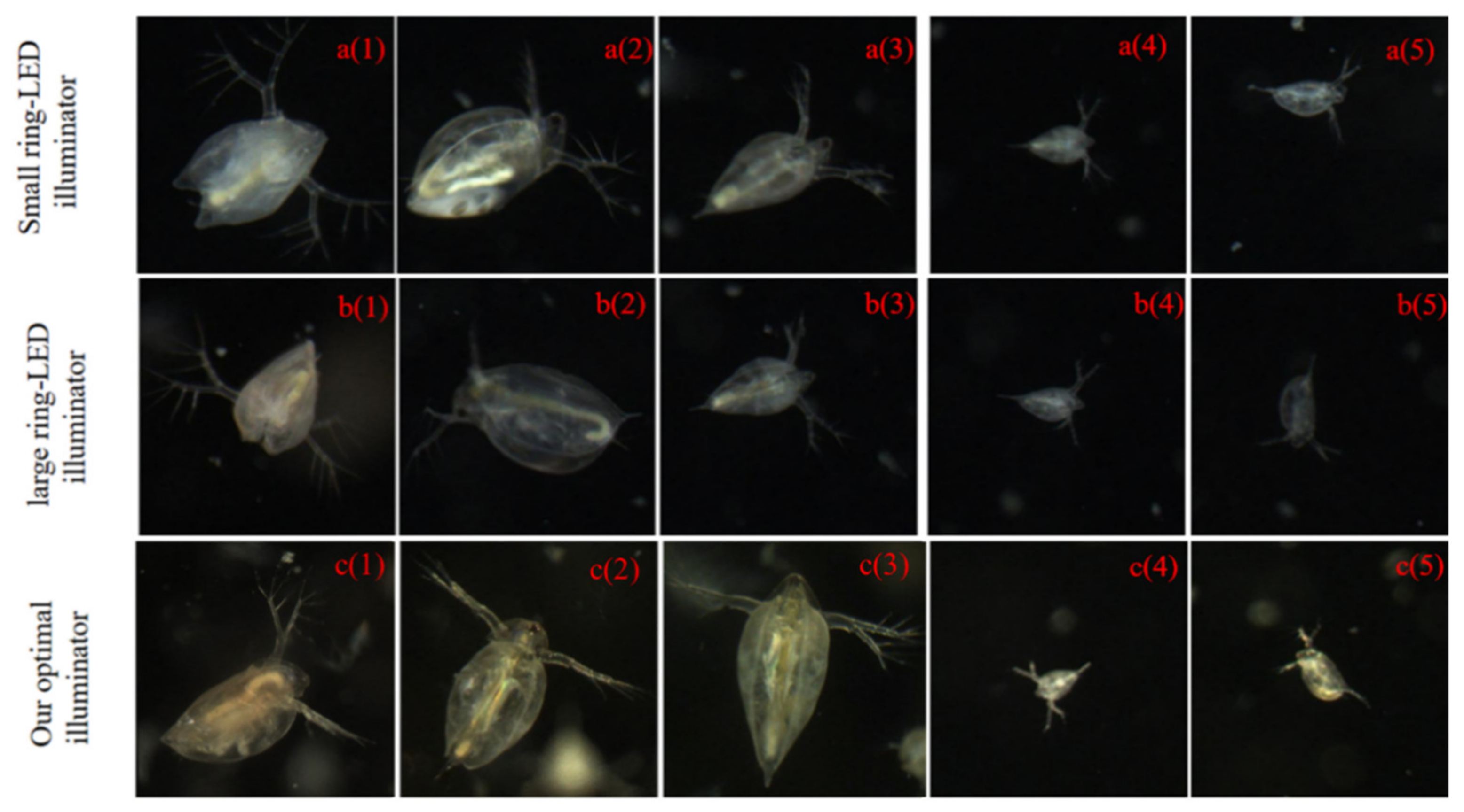 Sensors 20 03471 g015 Sensors 20 03471 g015