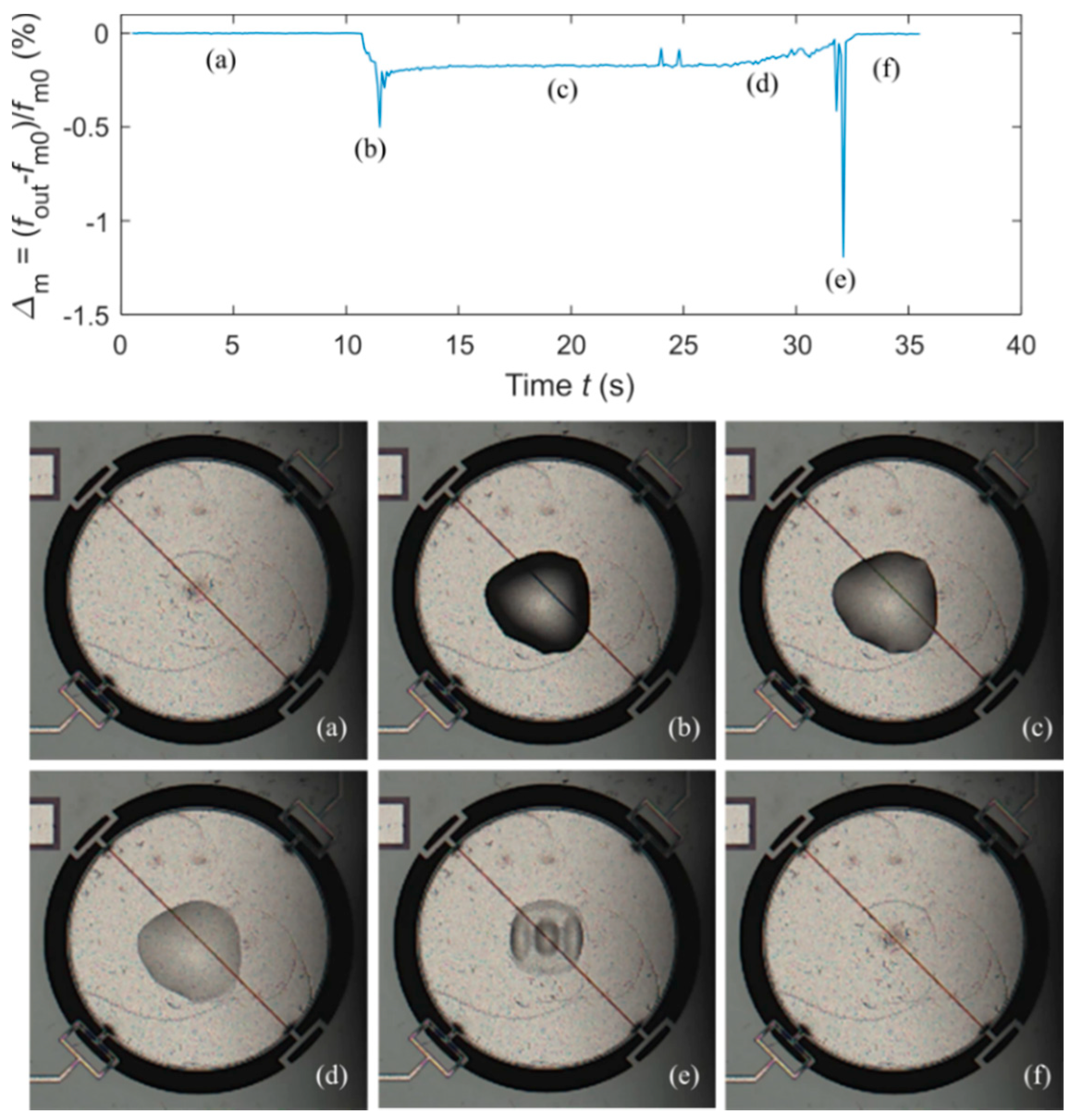 Sensors 20 03483 g011
