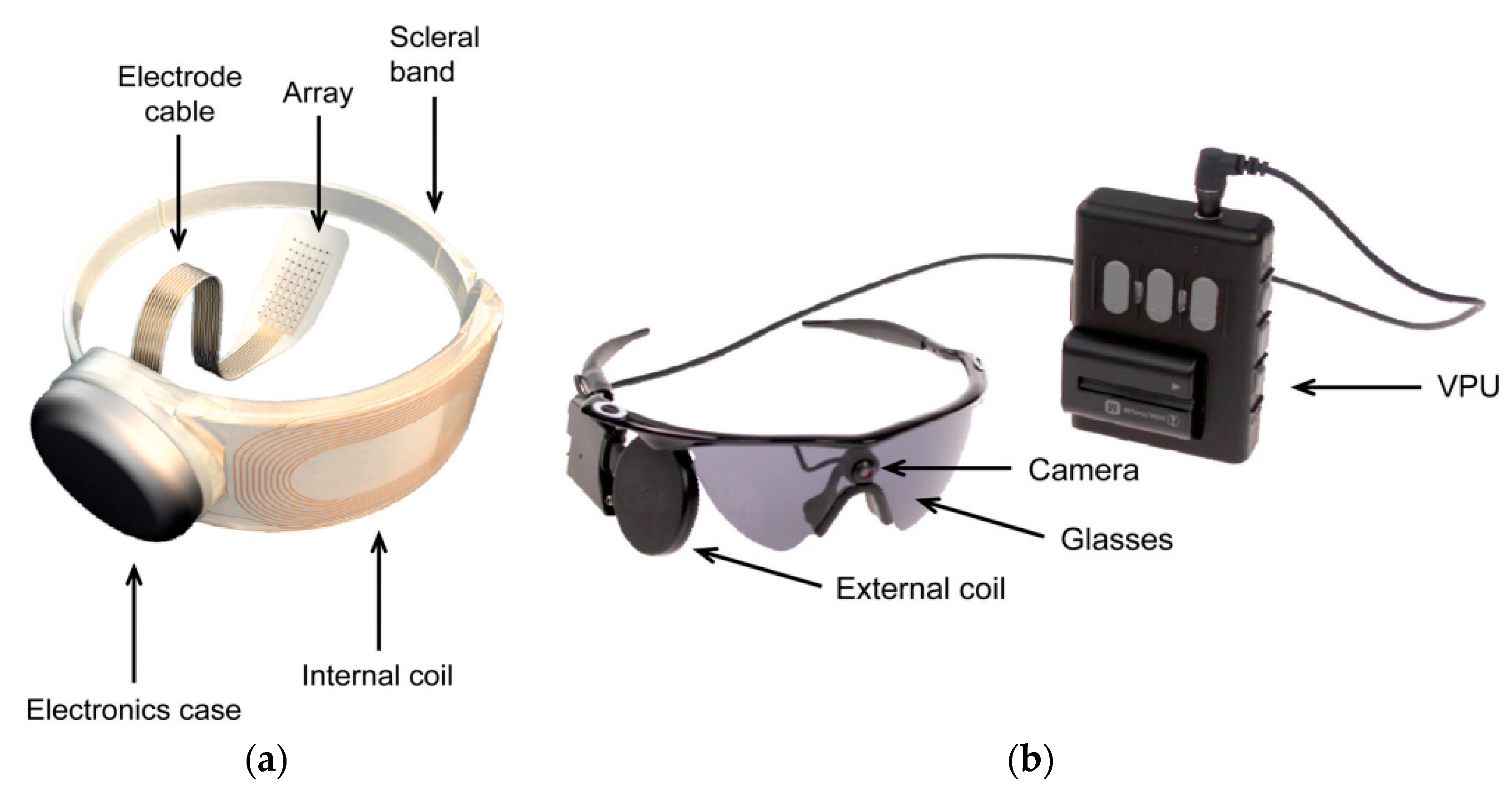 Sensors | Free Full-Text | Wireless Power Transfer Techniques for ...