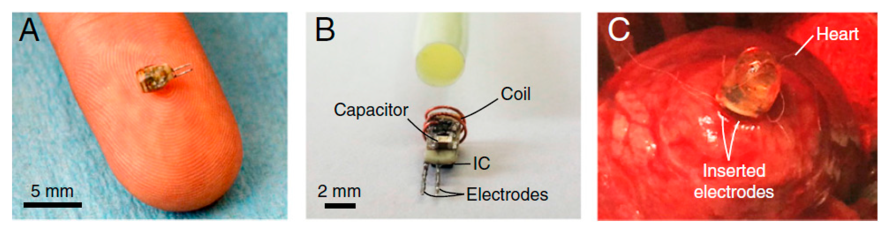 Sensors 20 03487 g032