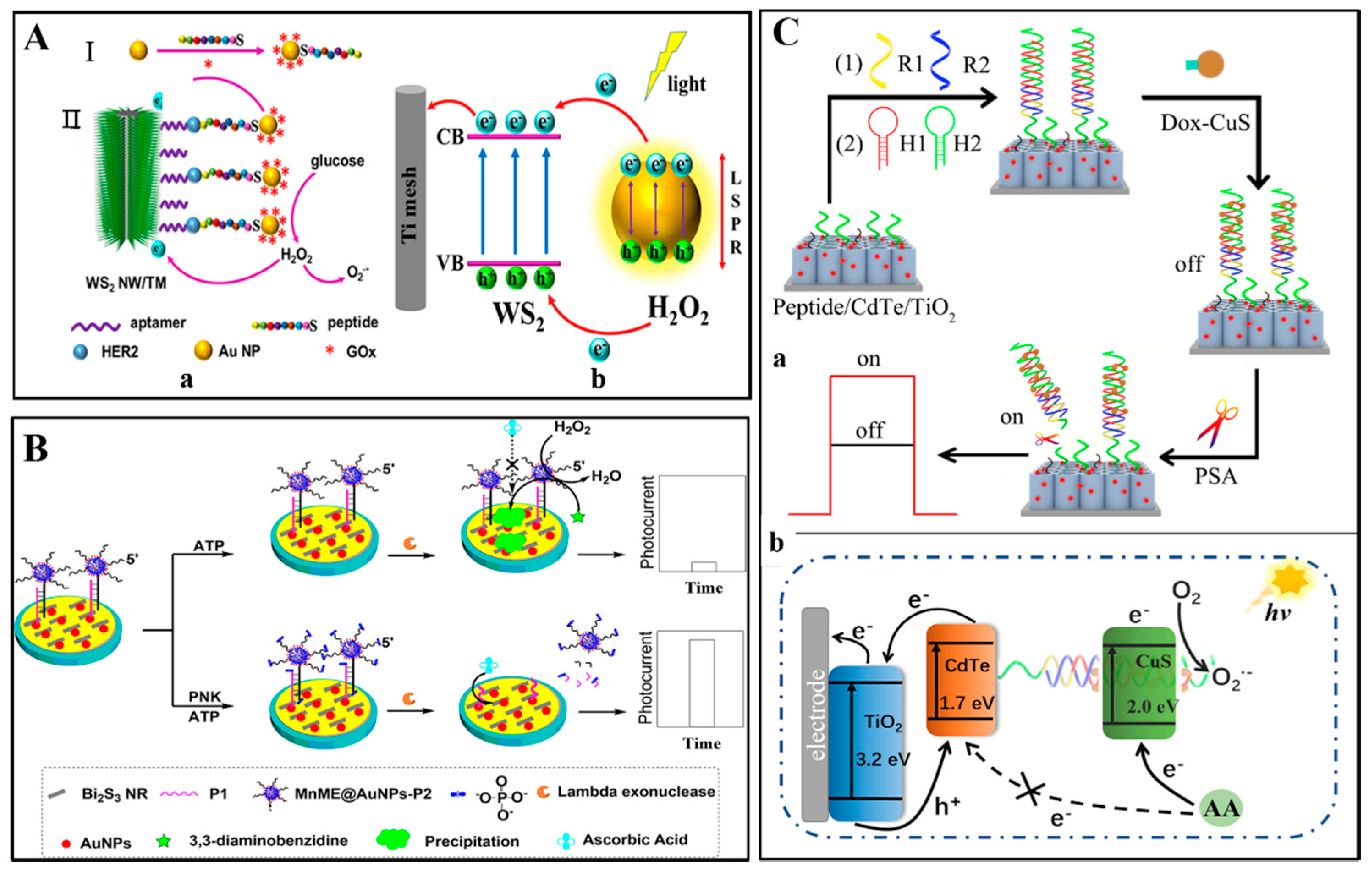 Sensors 20 03488 g002 Sensors 20 03488 g002