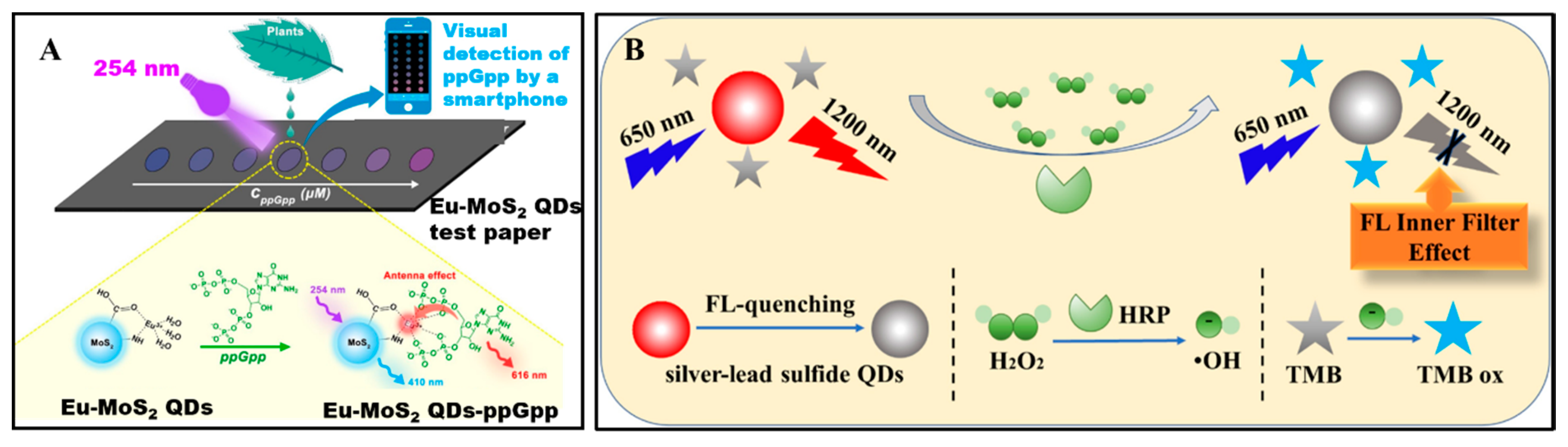 Sensors 20 03488 g005 Sensors 20 03488 g005