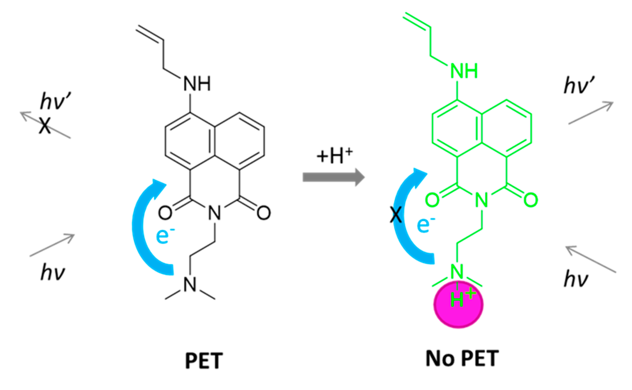 Sensors 20 03501 sch003
