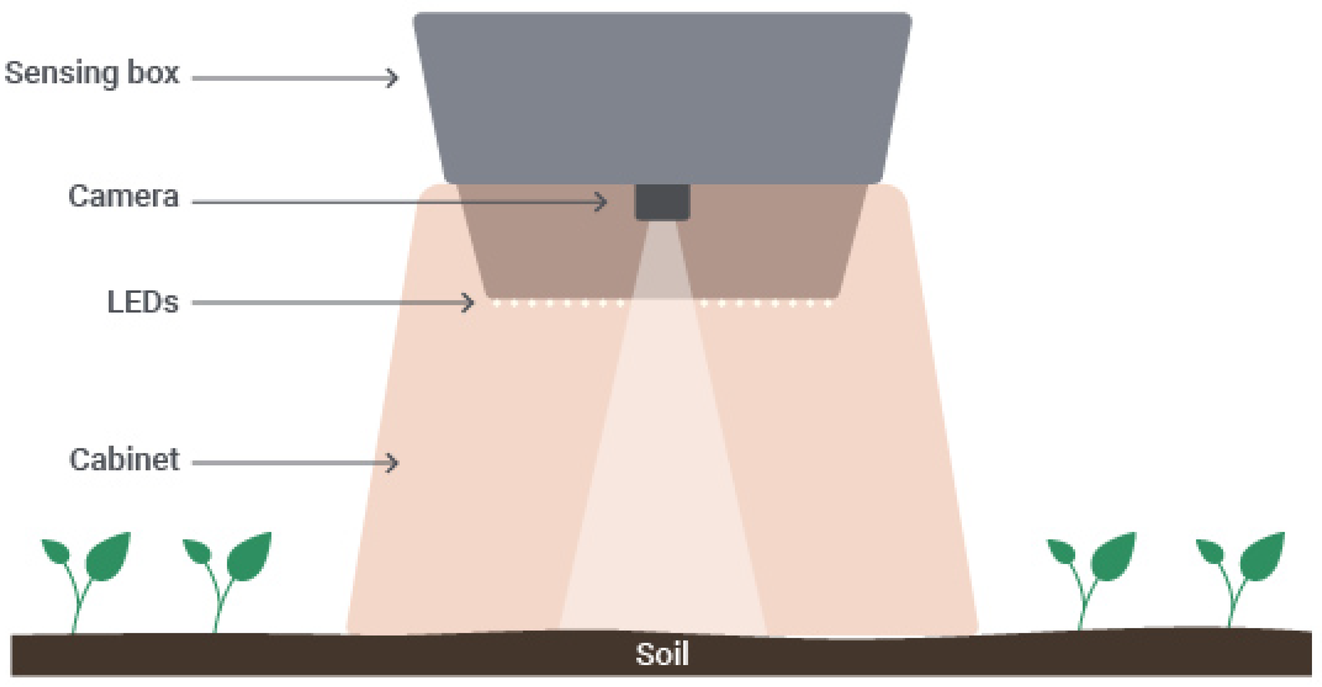 Sensors 20 03511 g002 Sensors 20 03511 g002