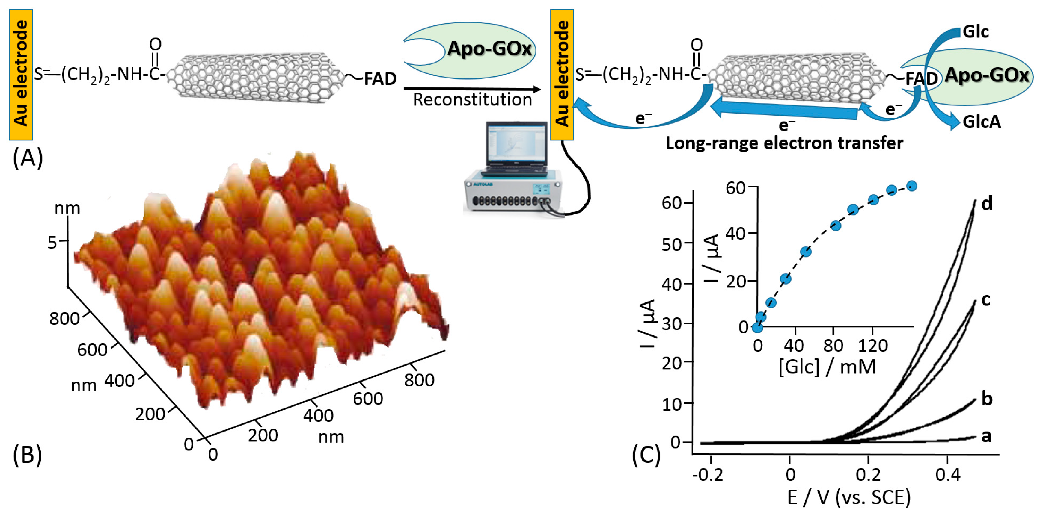 Sensors 20 03517 g011