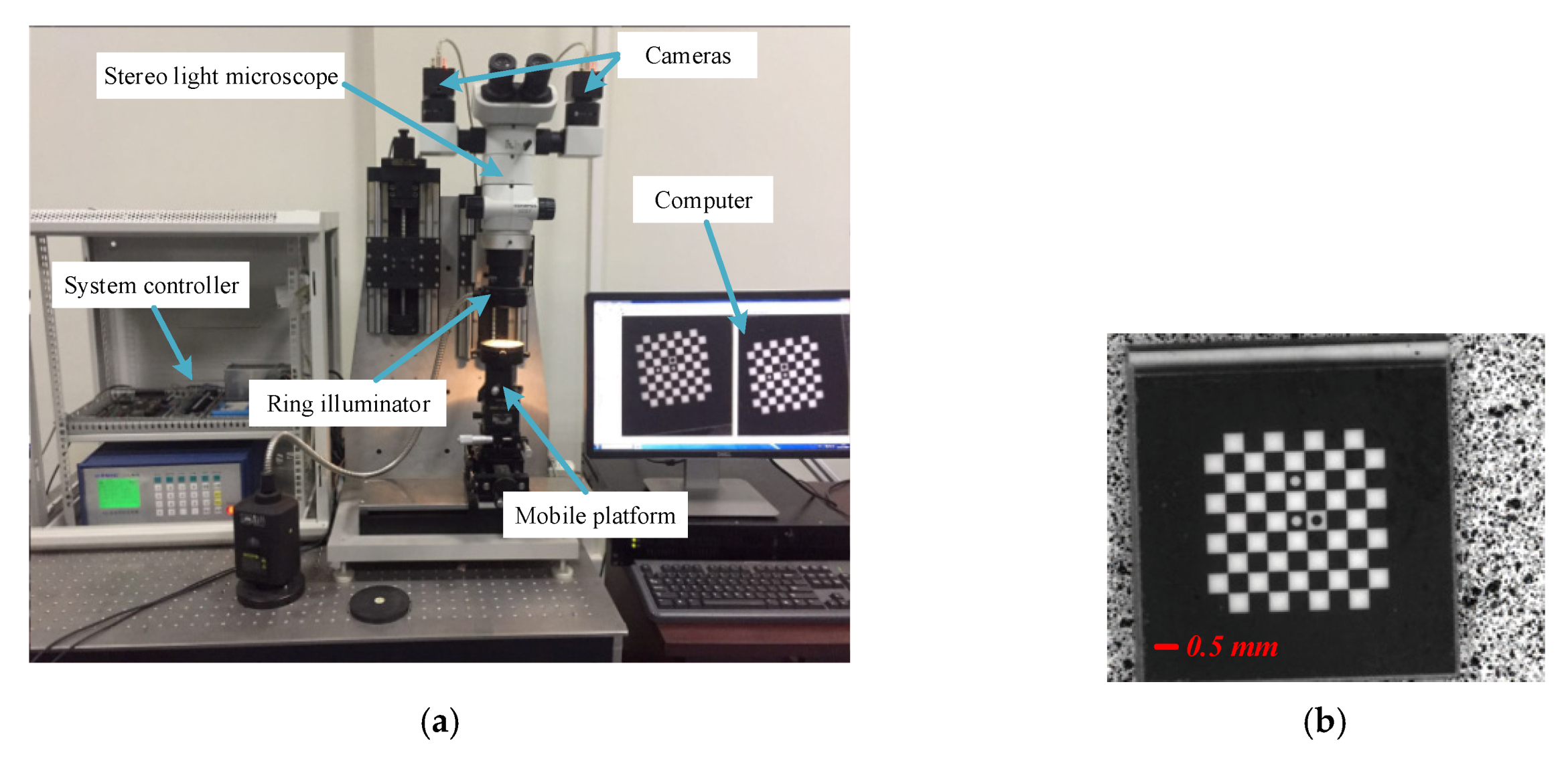 Sensors 20 03530 g012 Sensors 20 03530 g012
