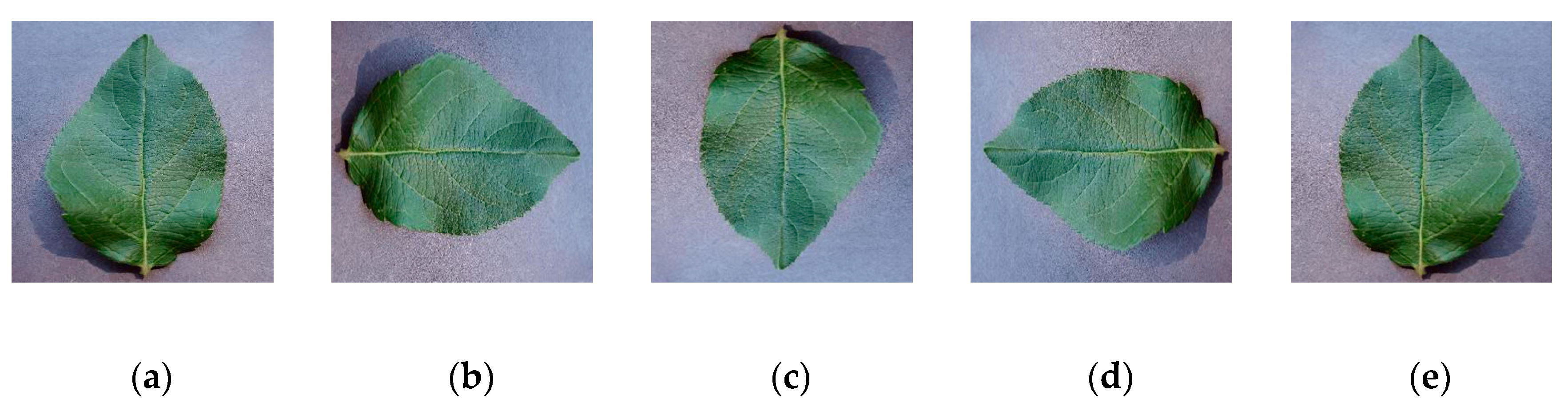 Sensors 20 03535 g009