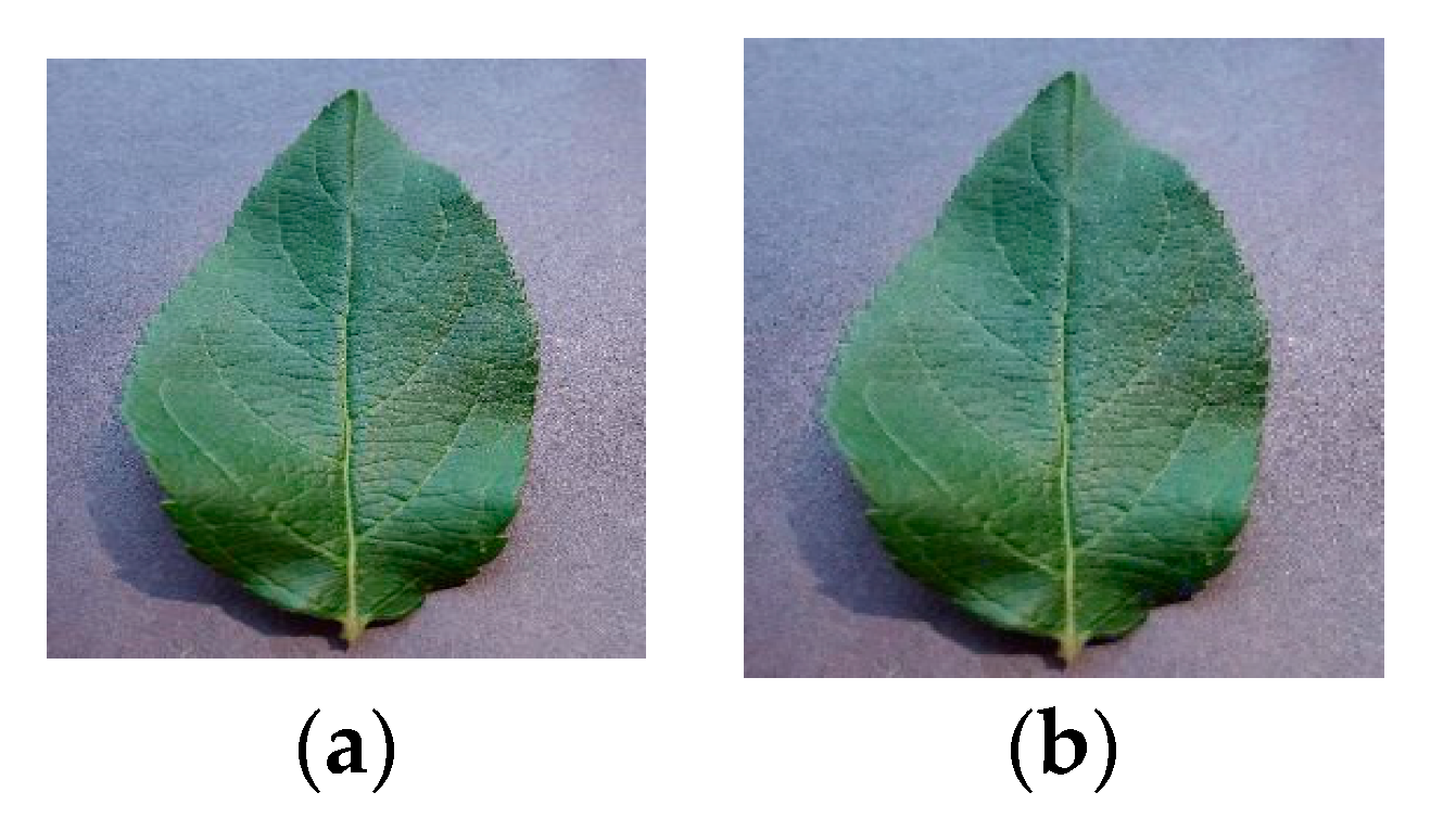 Sensors 20 03535 g011