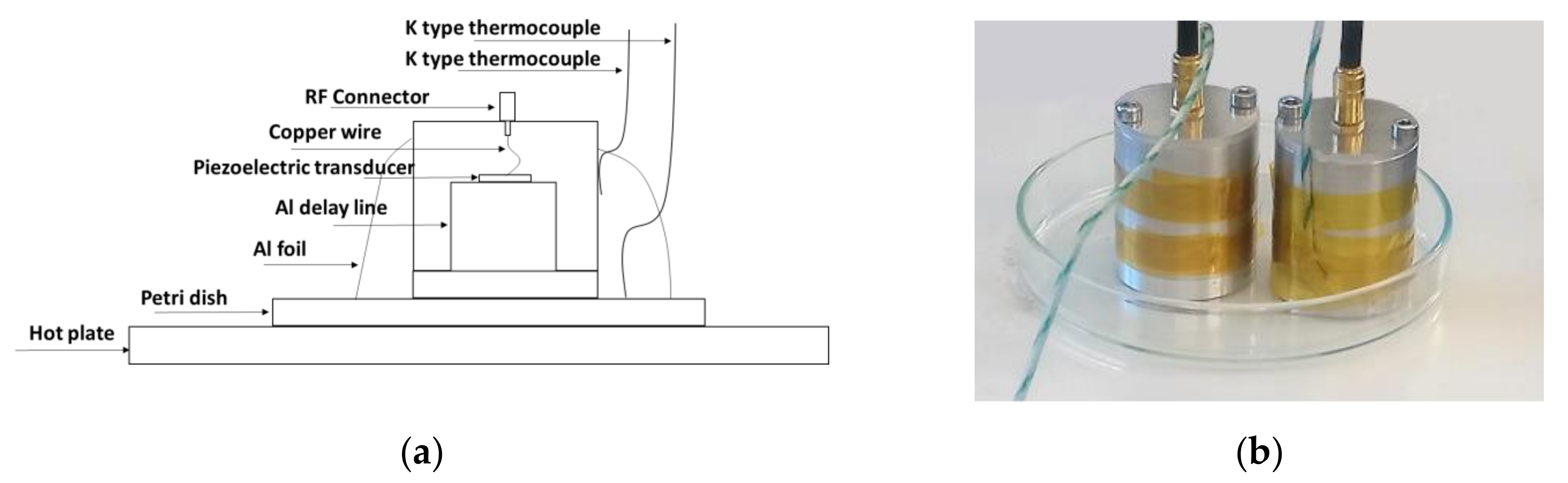 Sensors 20 03544 g004 Sensors 20 03544 g004