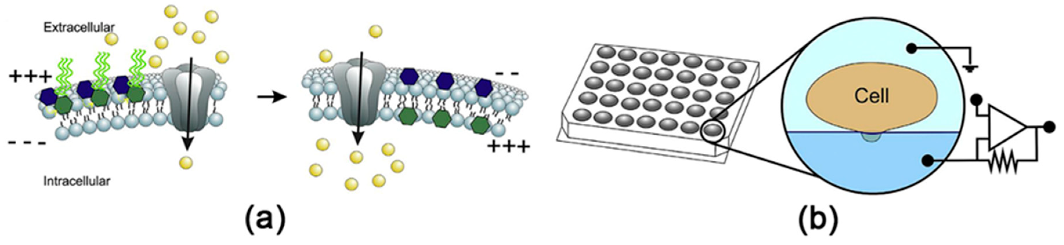 Sensors 20 03551 g011 Sensors 20 03551 g011