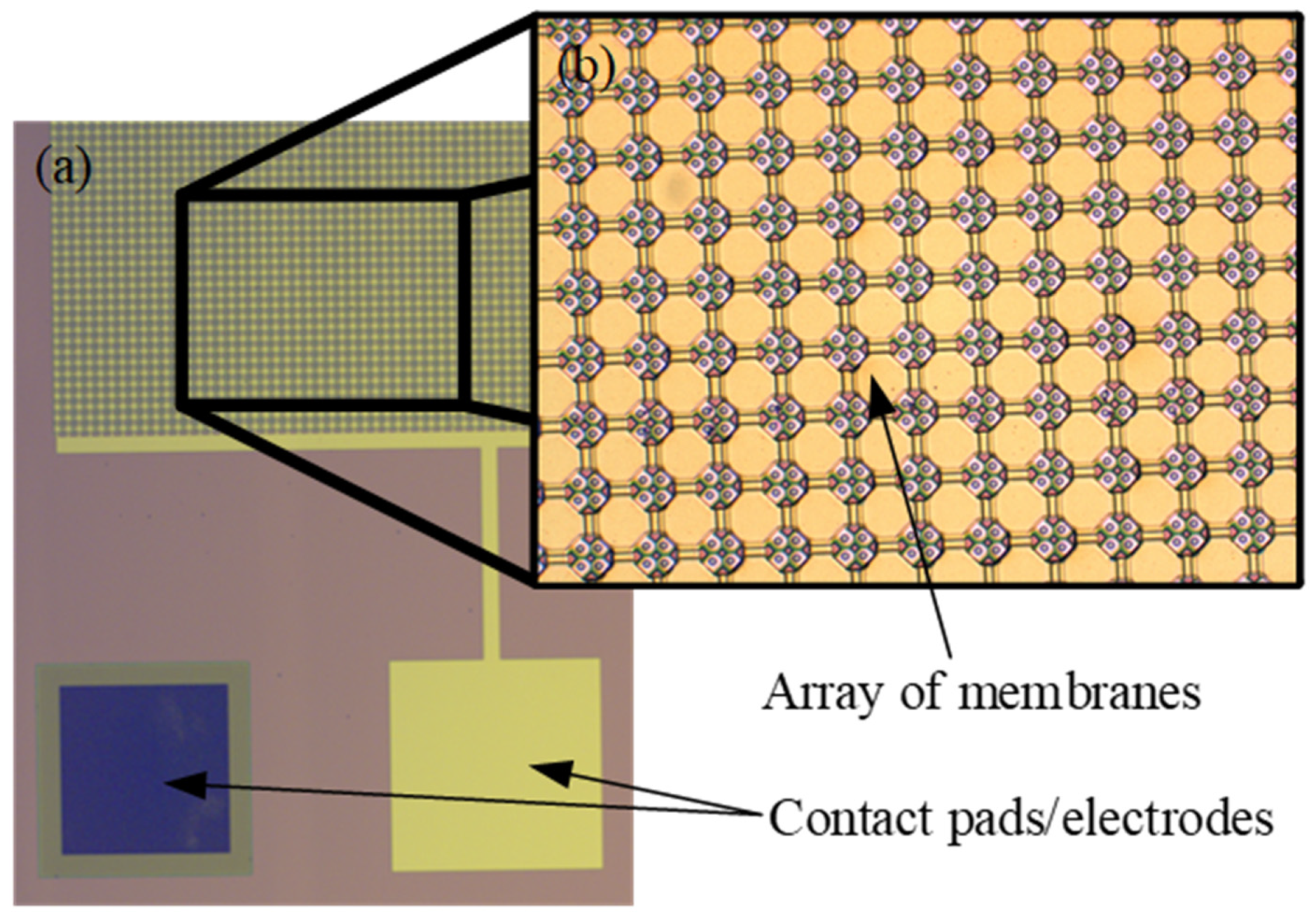 Sensors 20 03554 g001 Sensors 20 03554 g001