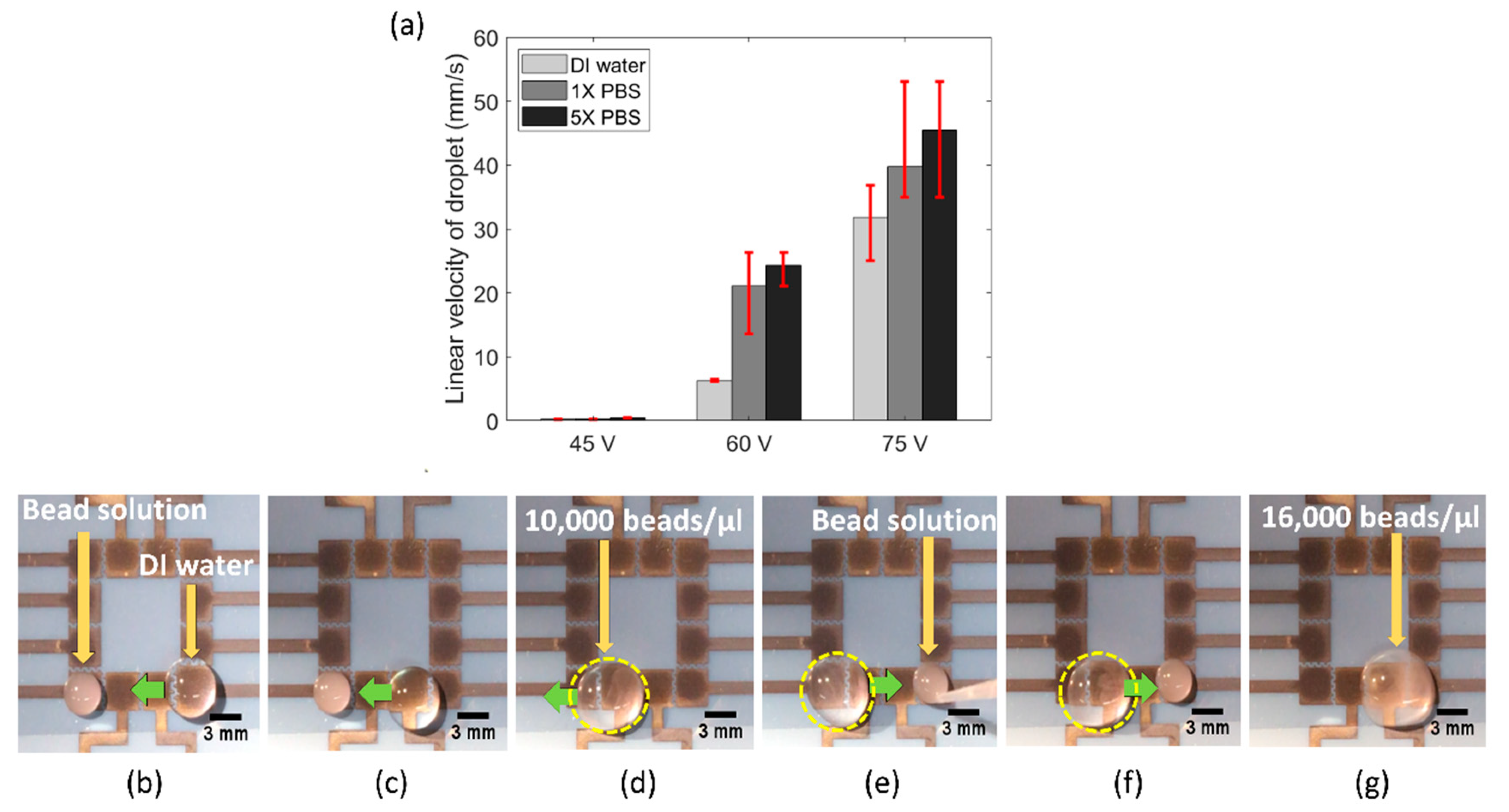 Sensors 20 03593 g005