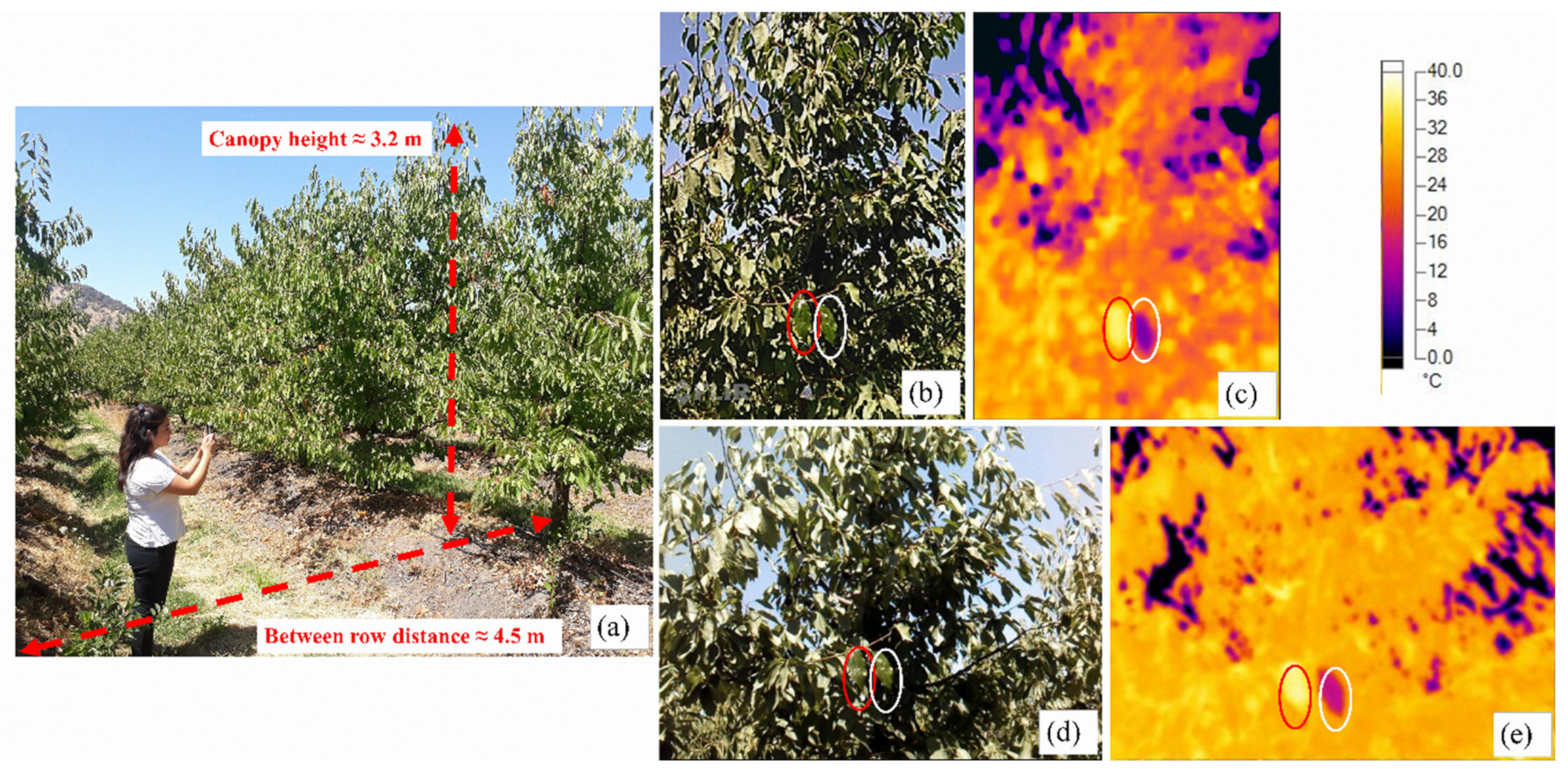 Sensors 20 03596 g001 Sensors 20 03596 g001