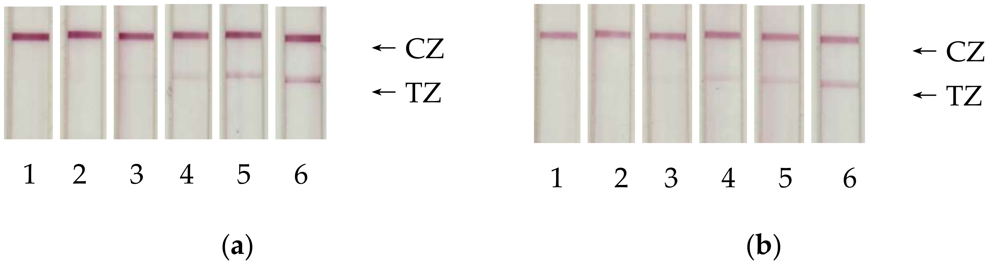 Sensors 20 03608 g003a Sensors 20 03608 g003a