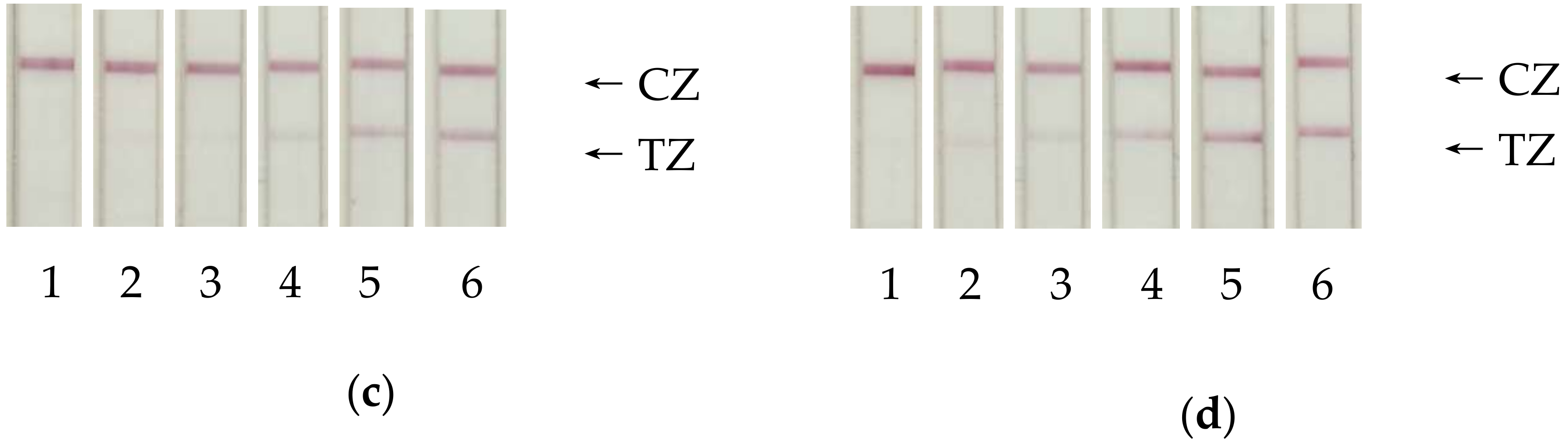 Sensors 20 03608 g003b Sensors 20 03608 g003b
