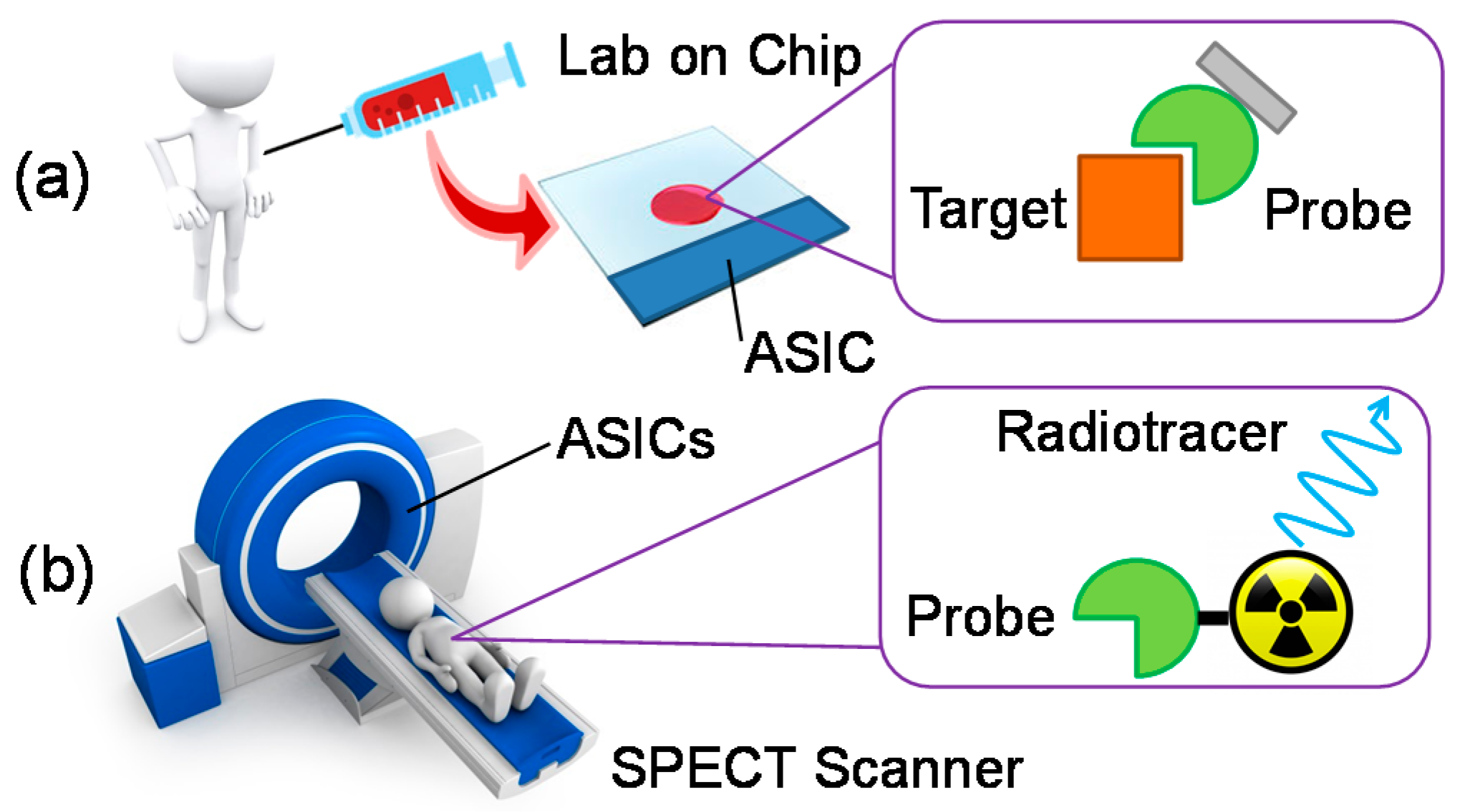 Sensors 20 03636 g001