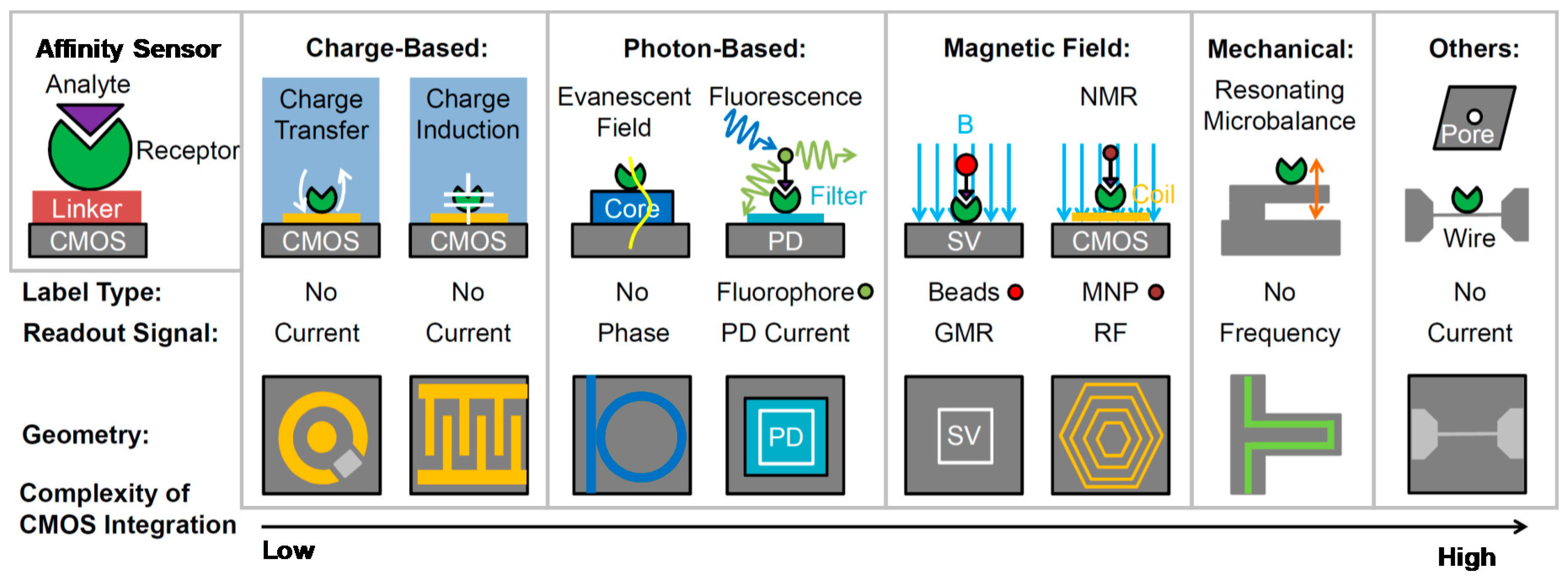 Sensors 20 03636 g003
