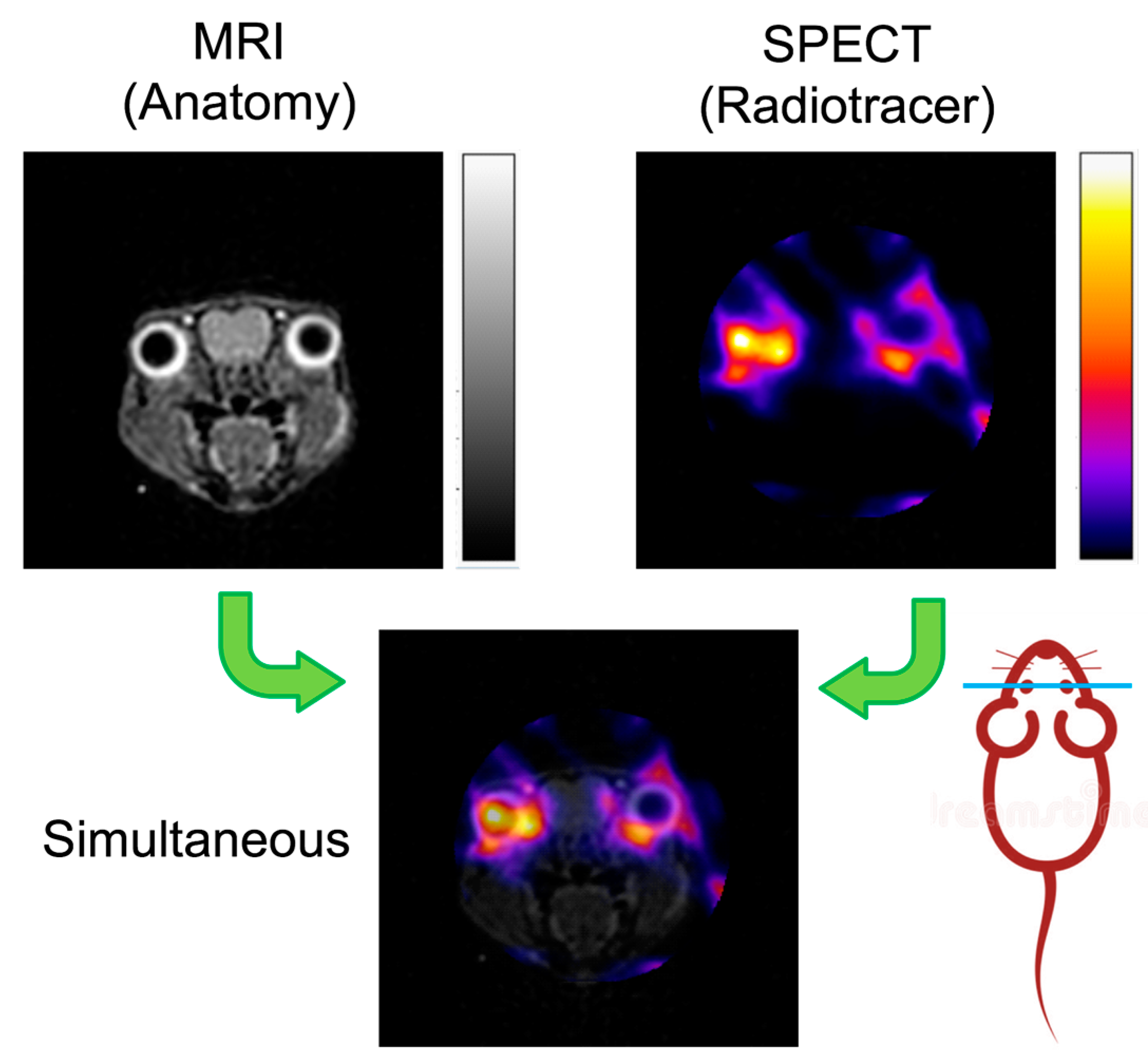 Sensors 20 03636 g006