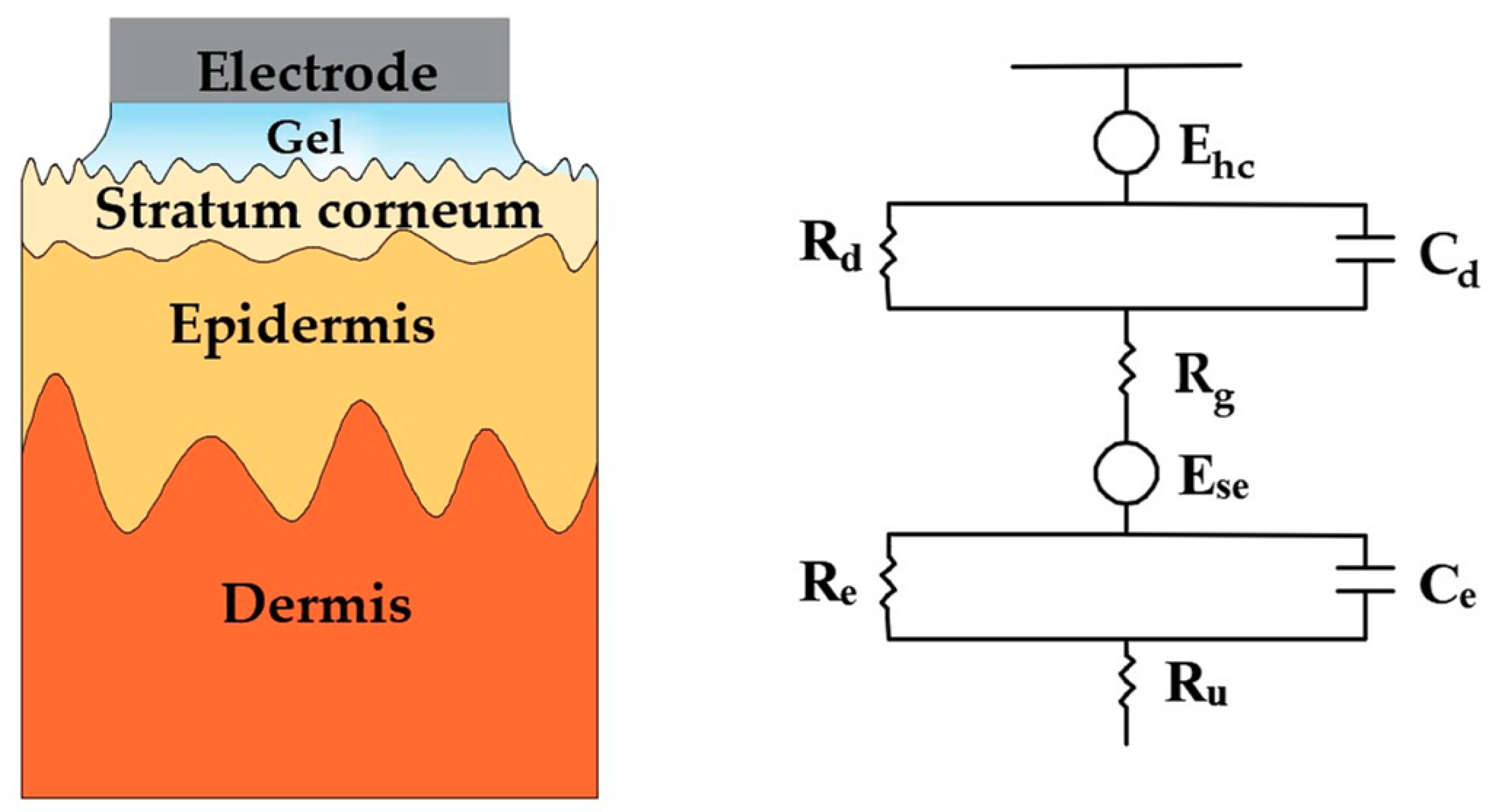 Sensors 20 03651 g001