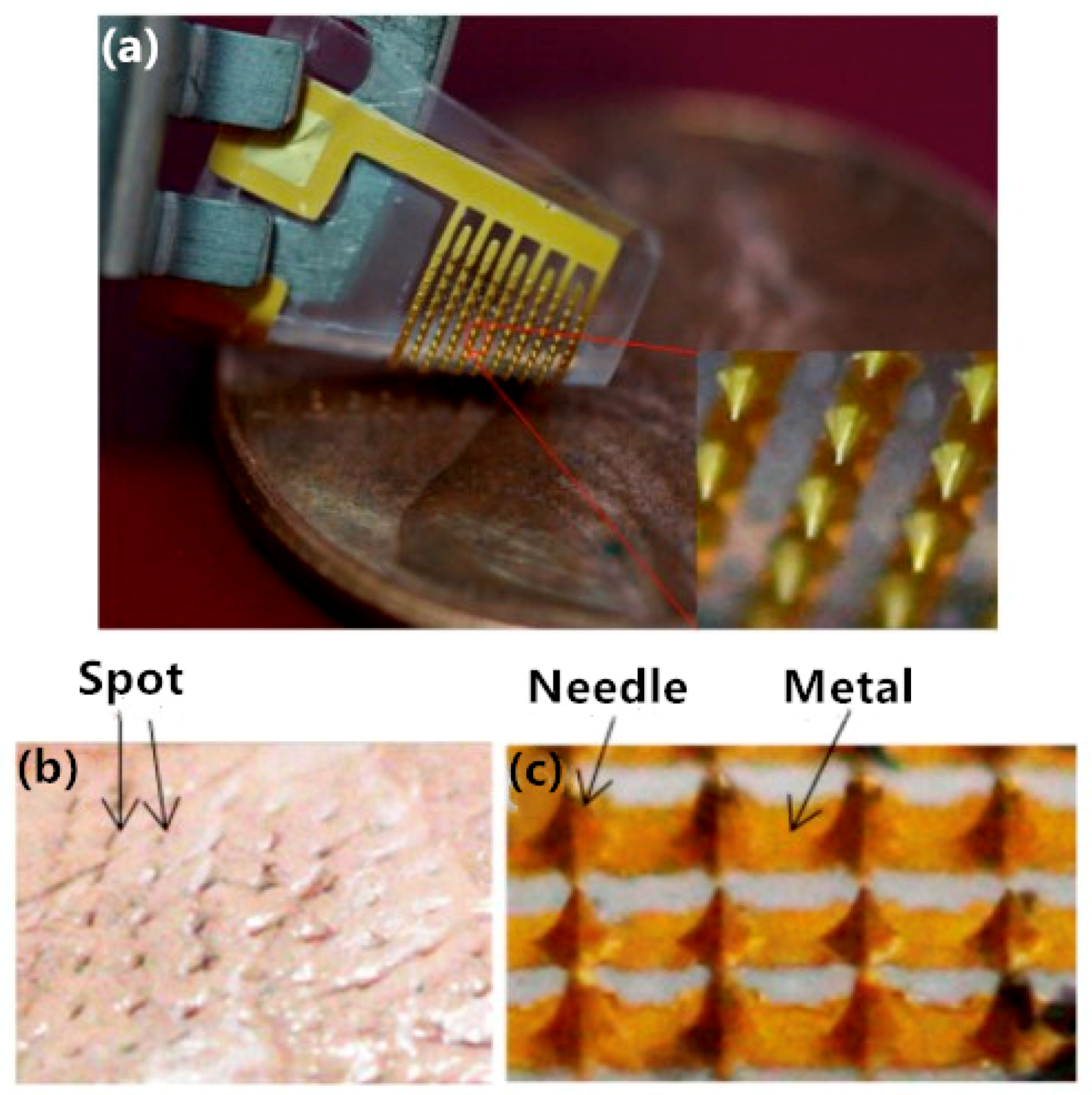 Sensors 20 03651 g003