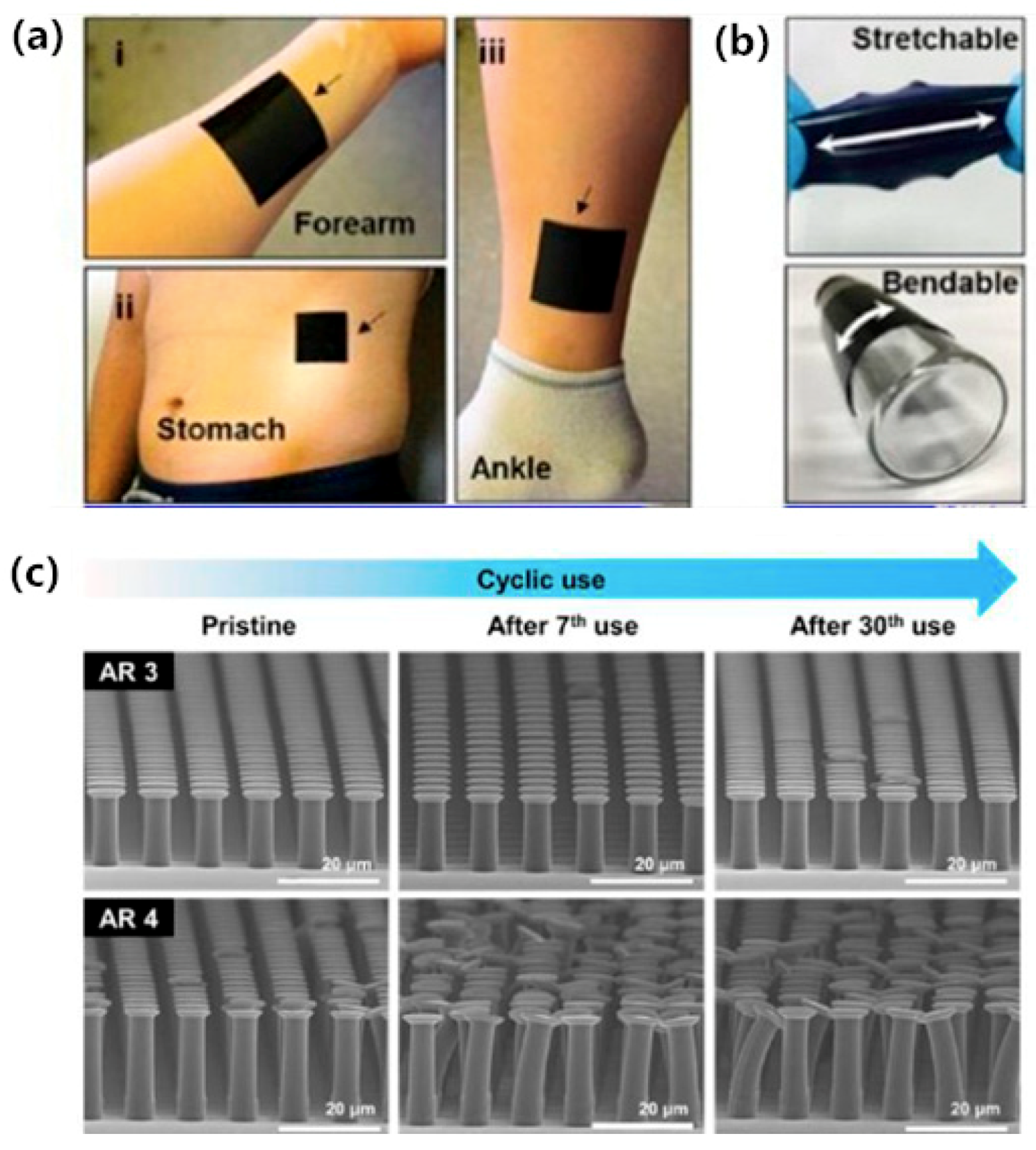 Sensors 20 03651 g010