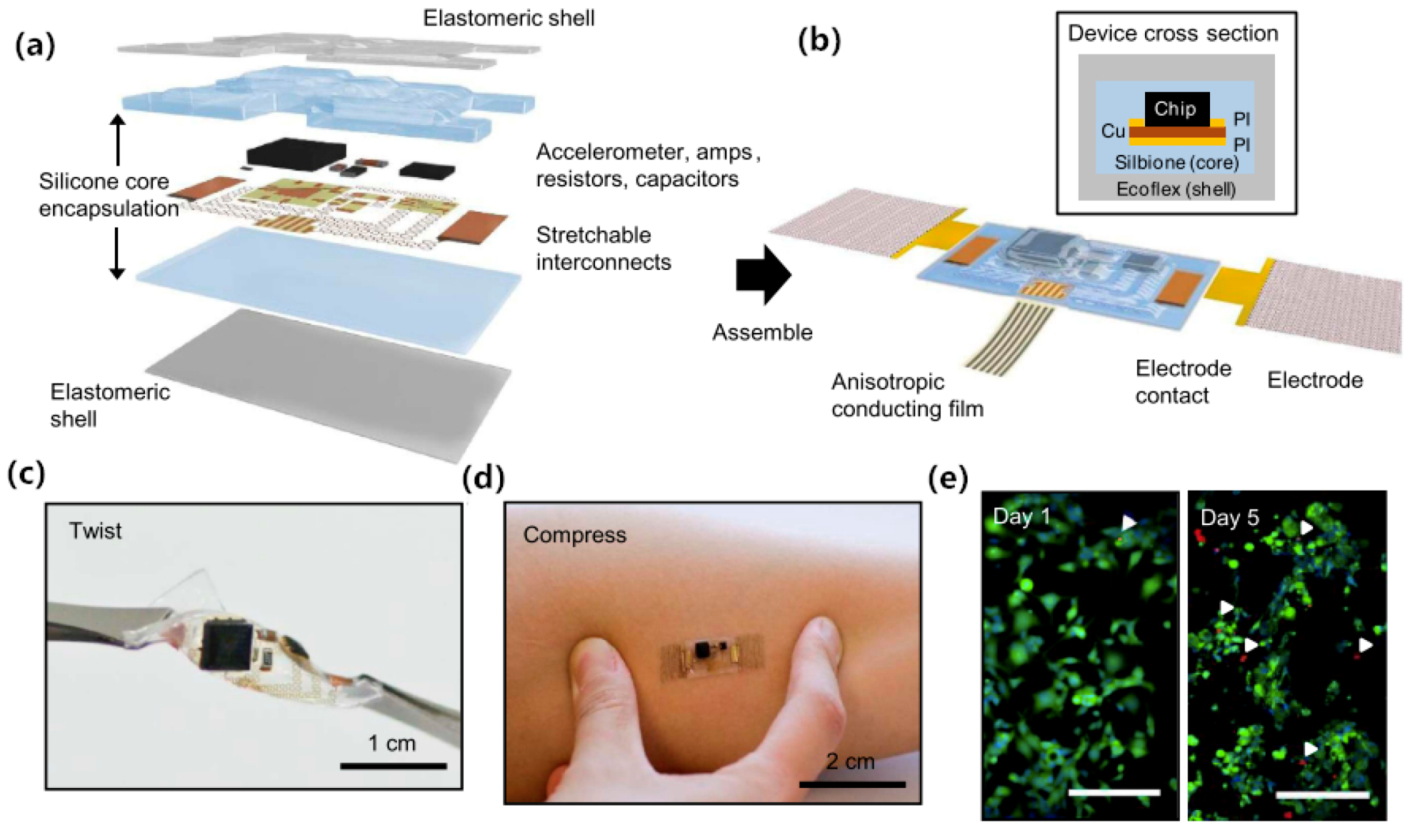 Sensors 20 03651 g014