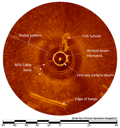 Sensors 20 03654 g017