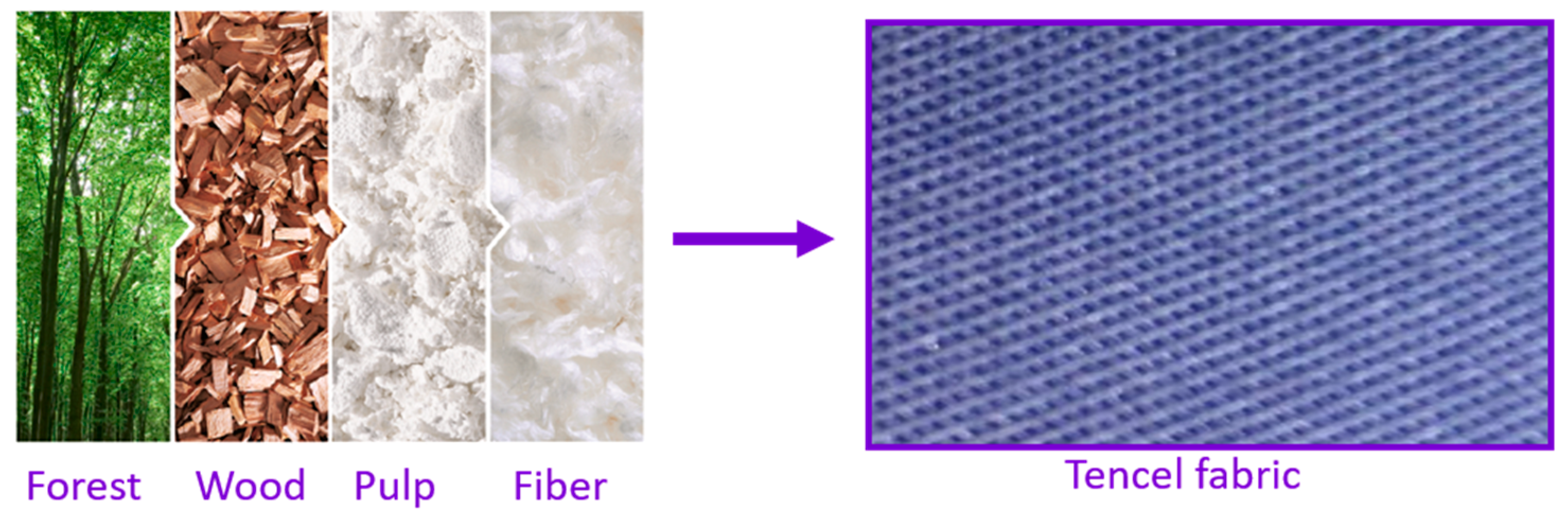 Sensors 20 03658 g002