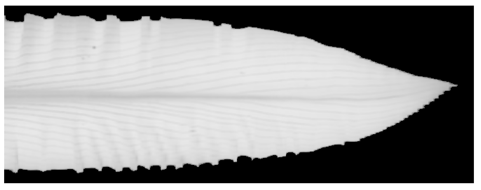 Sensors 20 03659 g002 Sensors 20 03659 g002