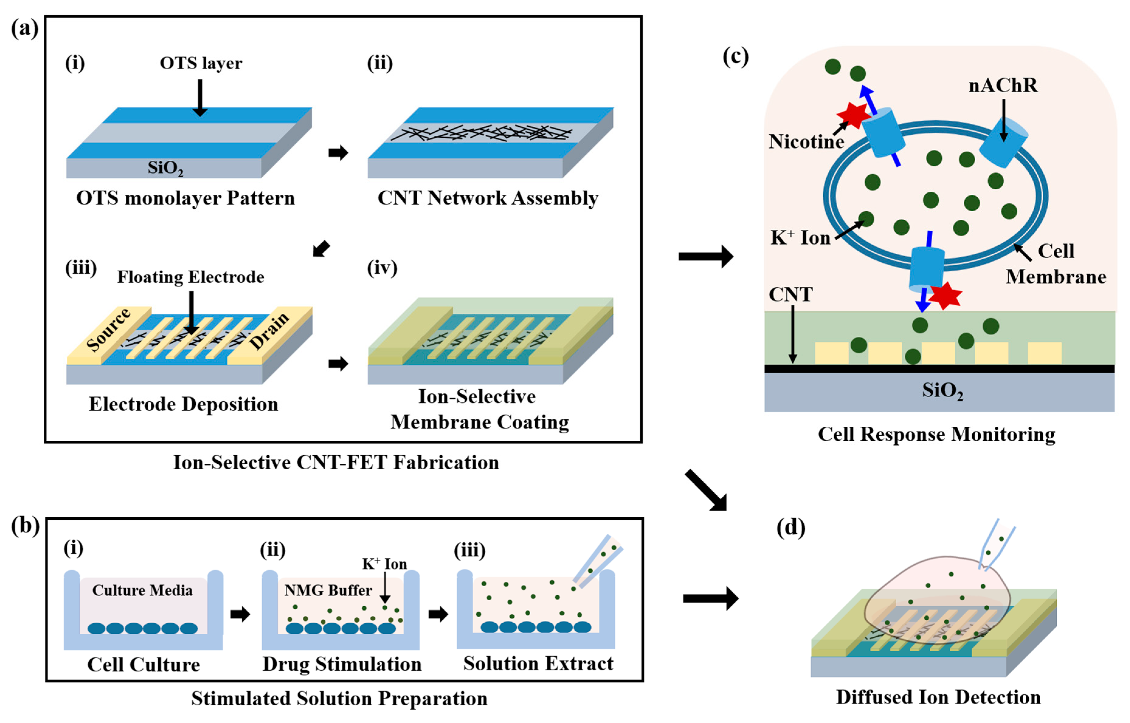Sensors 20 03680 g001